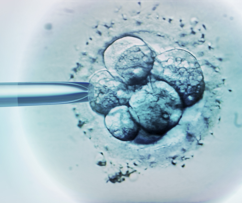 SET vs DET in Surrogacy