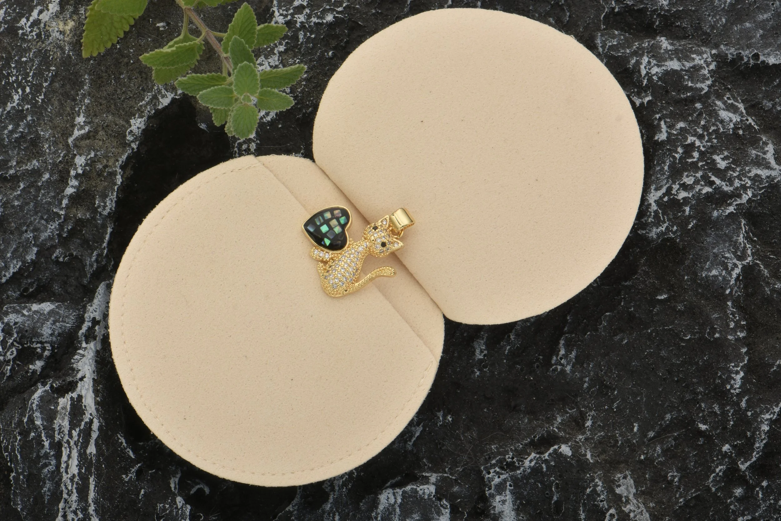 Color Shell Cat 04.jpg