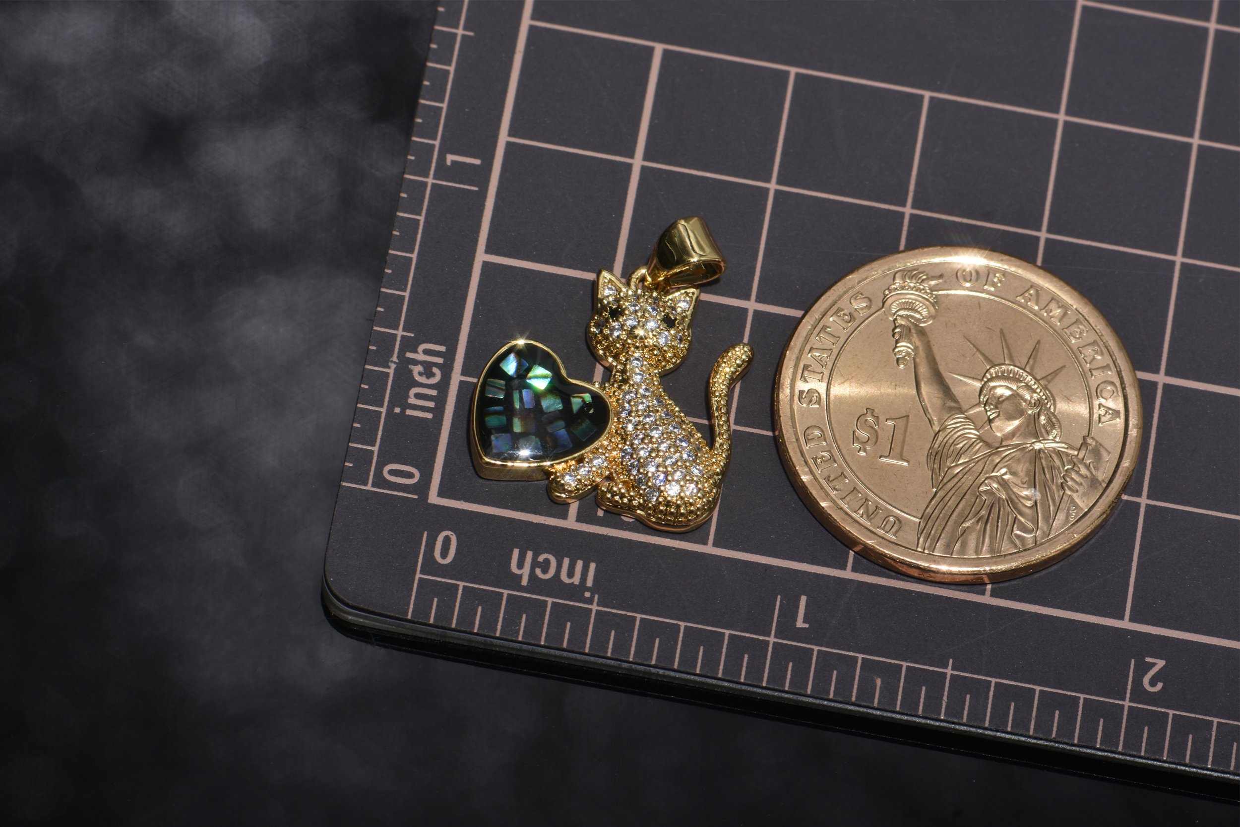 Color Shell Cat 03.jpg