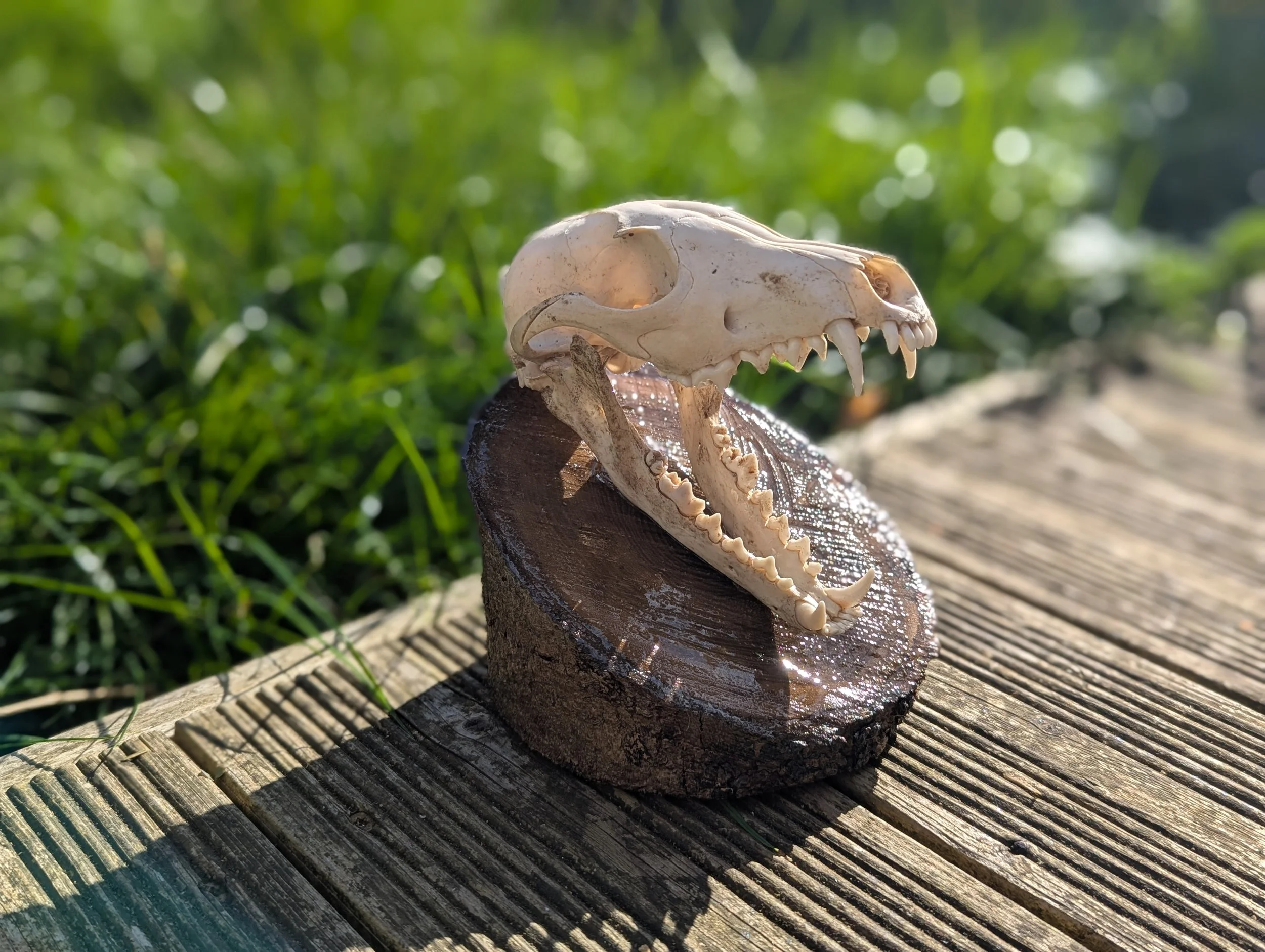 PXL_20251006_100134334.PORTRAIT (1).jpg