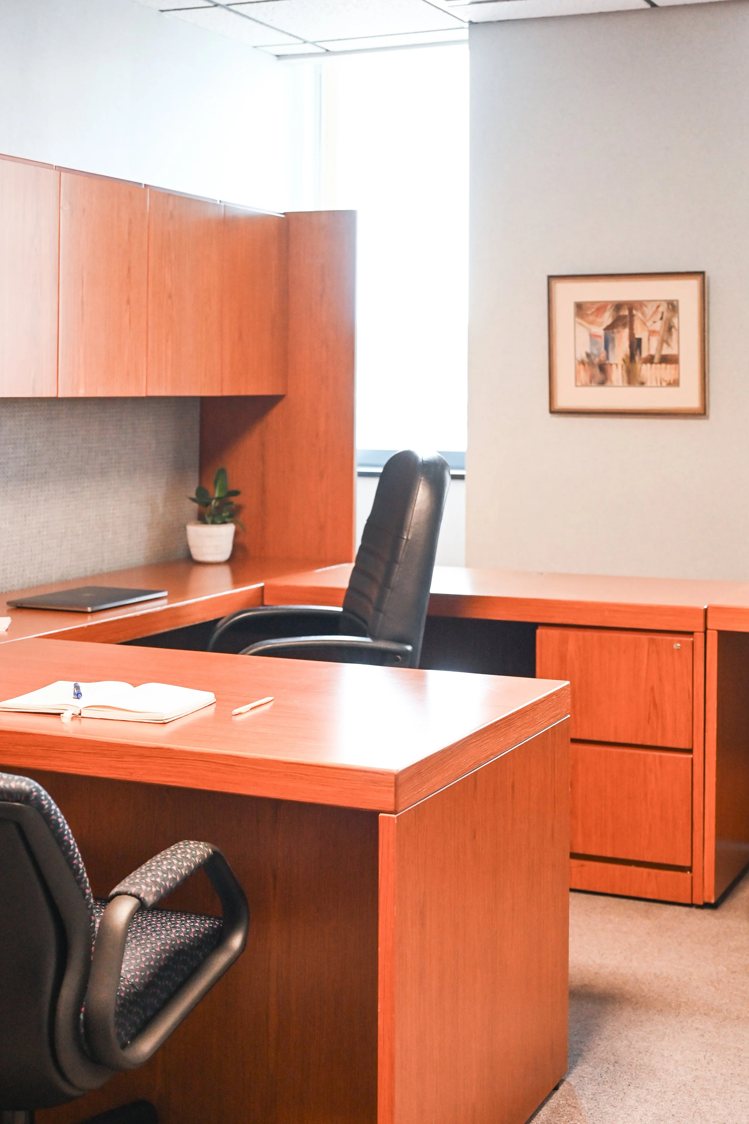 Empty office with a wooden desk, black office chairs, a notebook, and a pen on the desk, beige carpet, a framed picture on the wall, a small potted plant, and a window in the background.