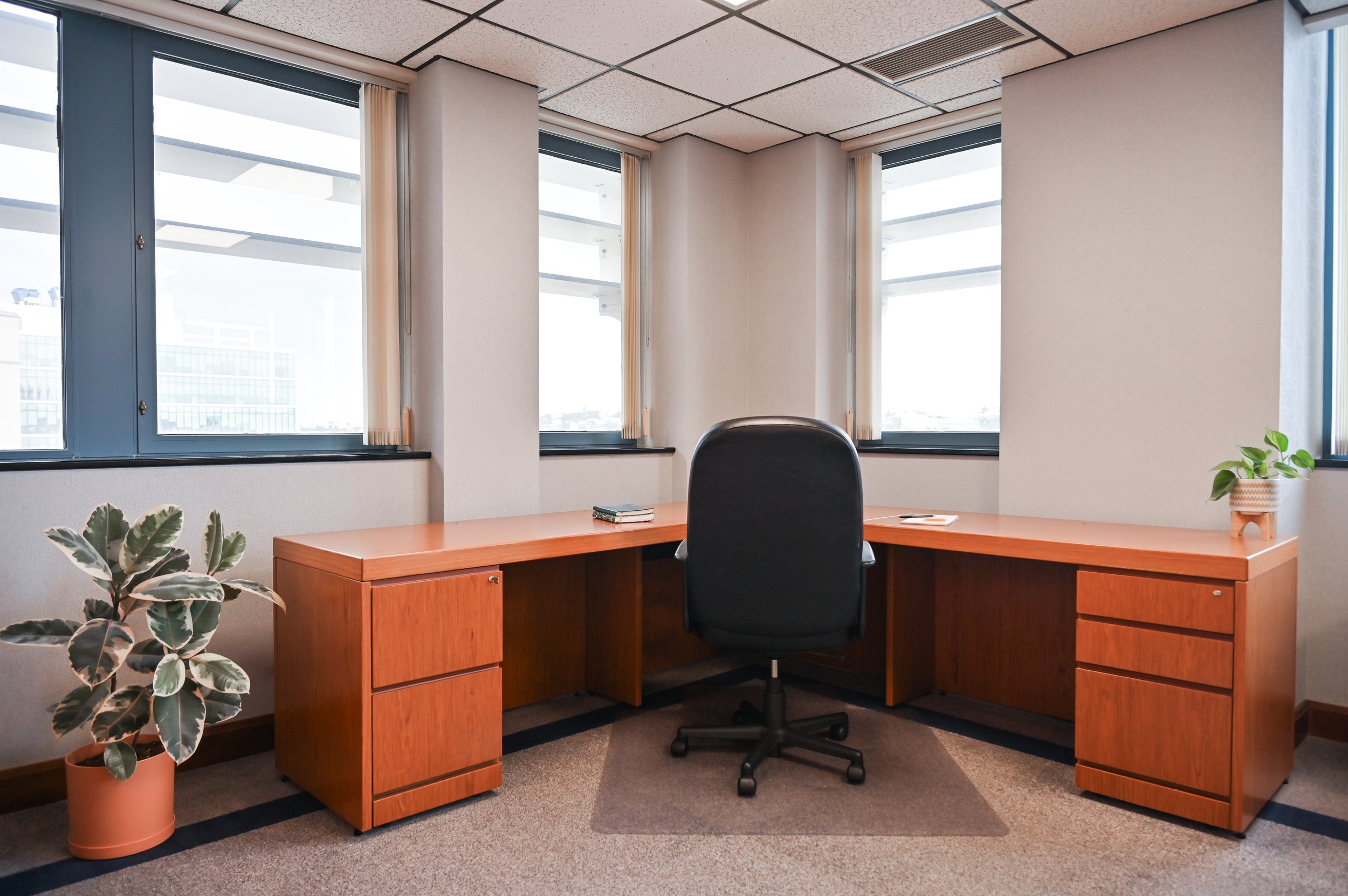 Empty office workspace with a black office chair in front of a wooden L-shaped desk, two potted plants, and large windows with blinds letting in natural light.