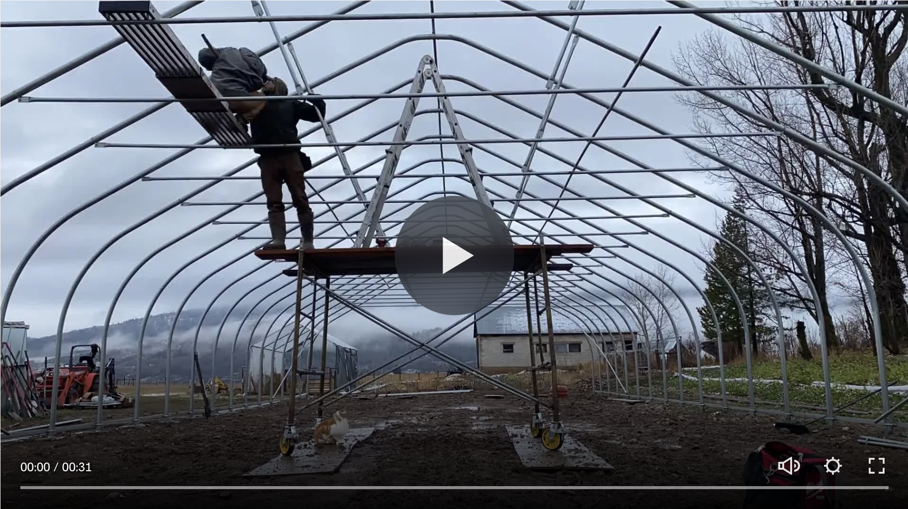 The Night Before Salad Greens