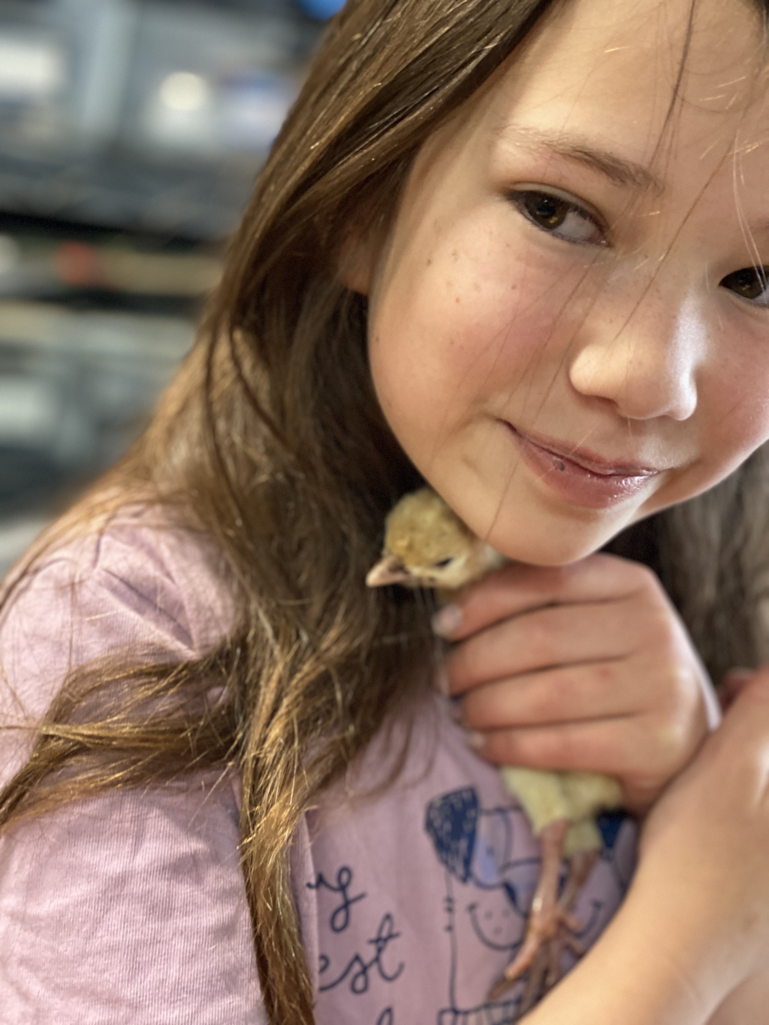 Welcome to the Brooder: Raising Our First Turkeys&nbsp;