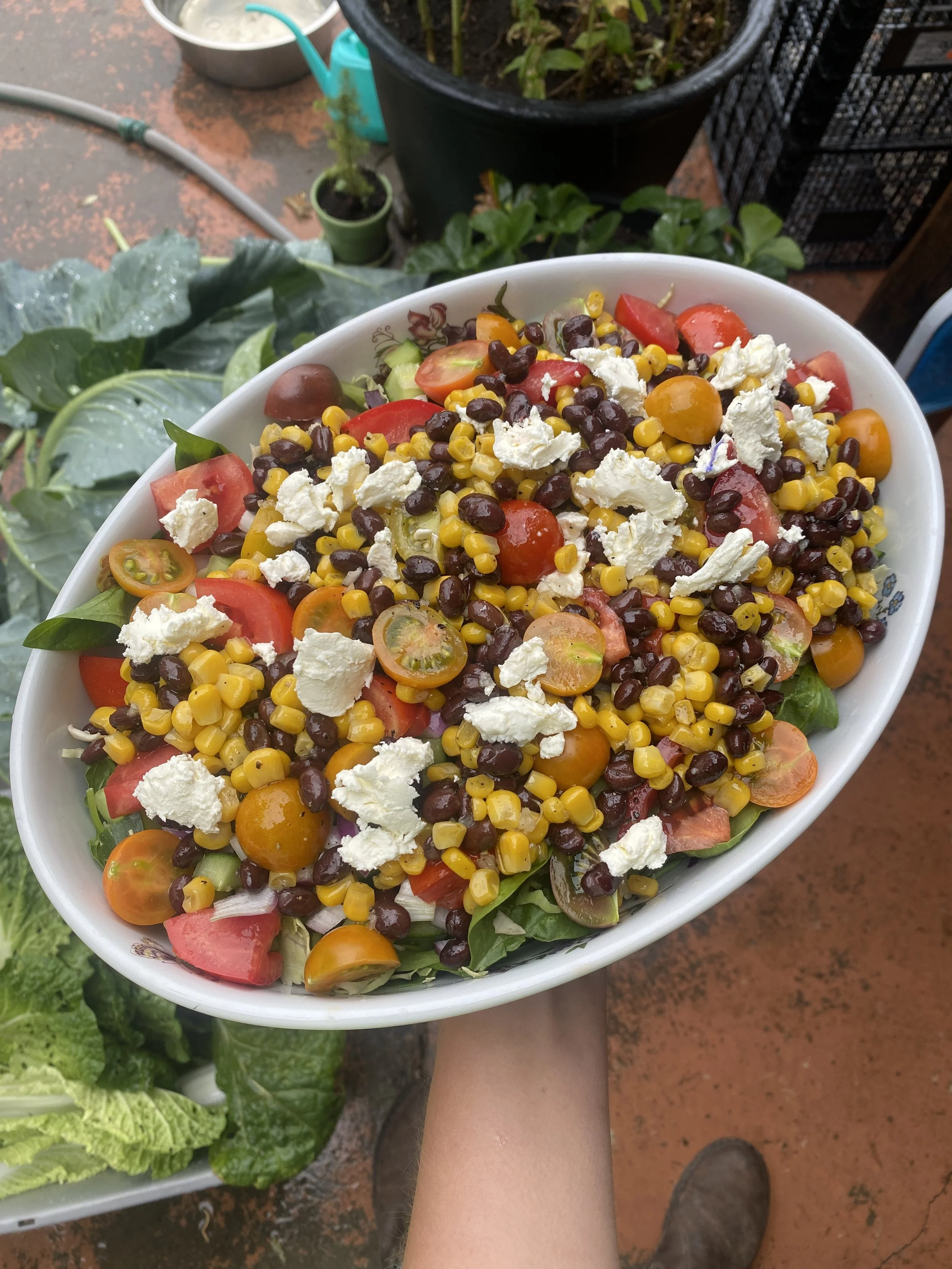 Moyra’s Keep-You-Going Salad Bowl