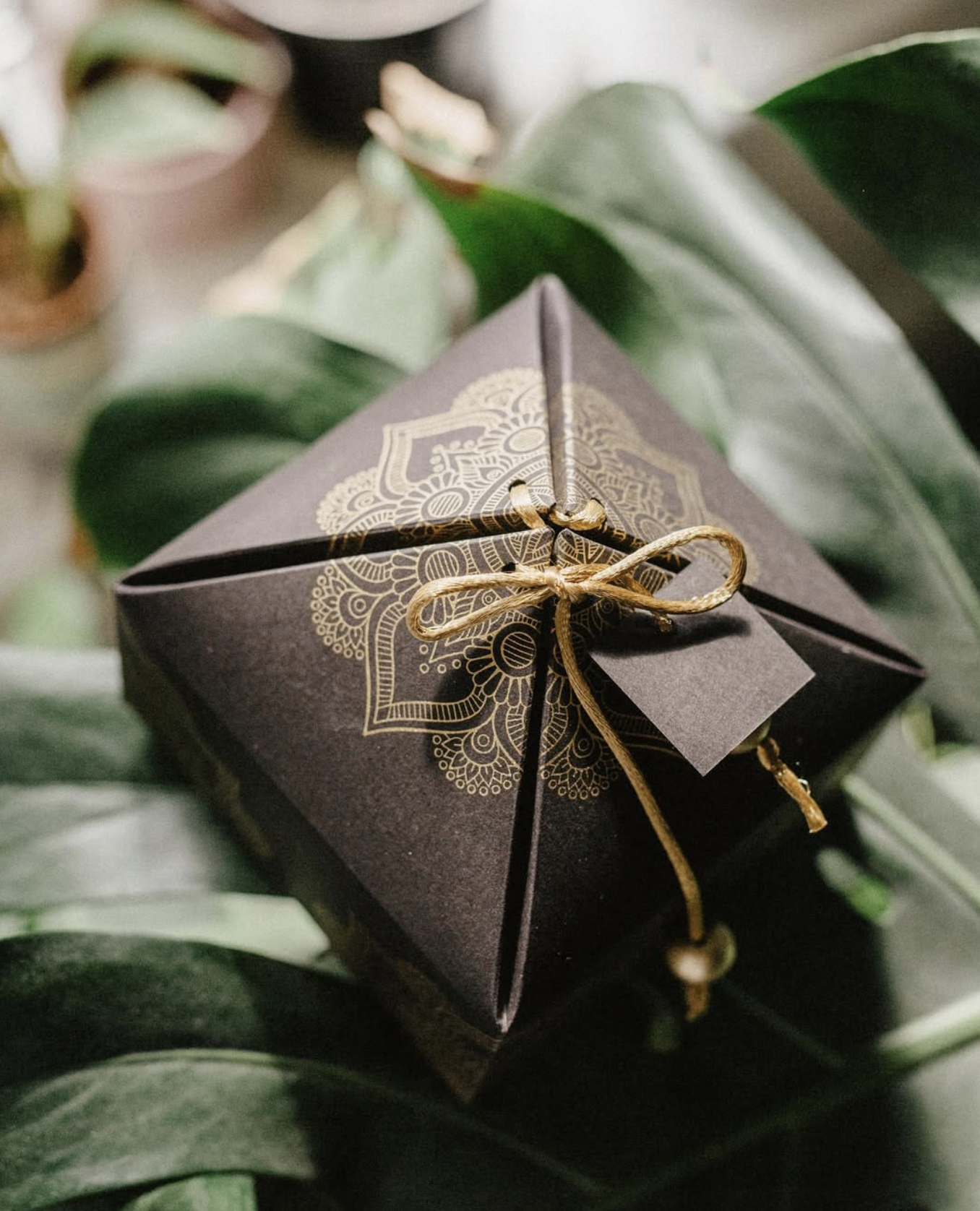 Screenshot 2025-10-28 at 15.05.53.png