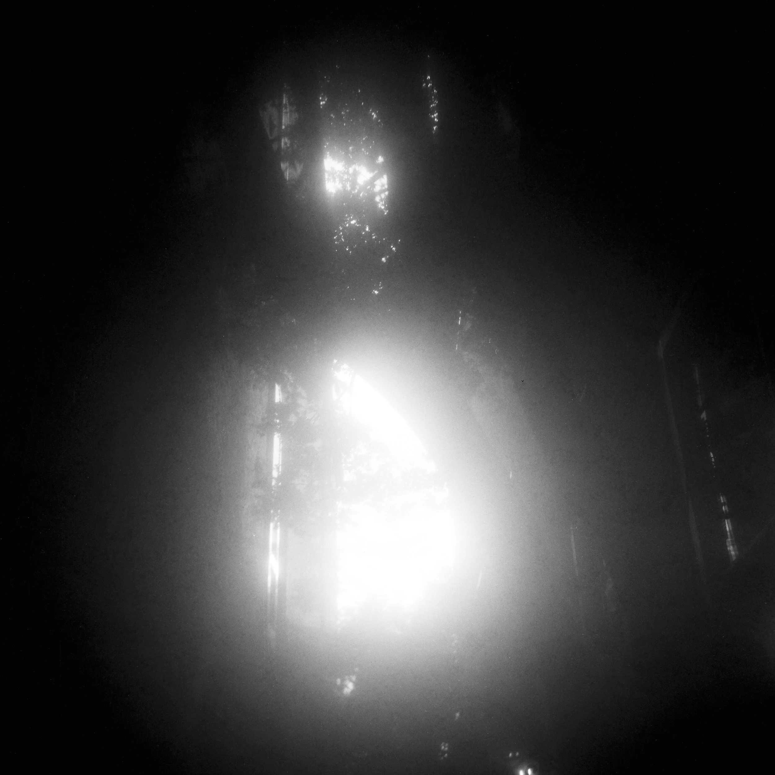 Abstract black and white film alternative process | Jillian Adams Photography