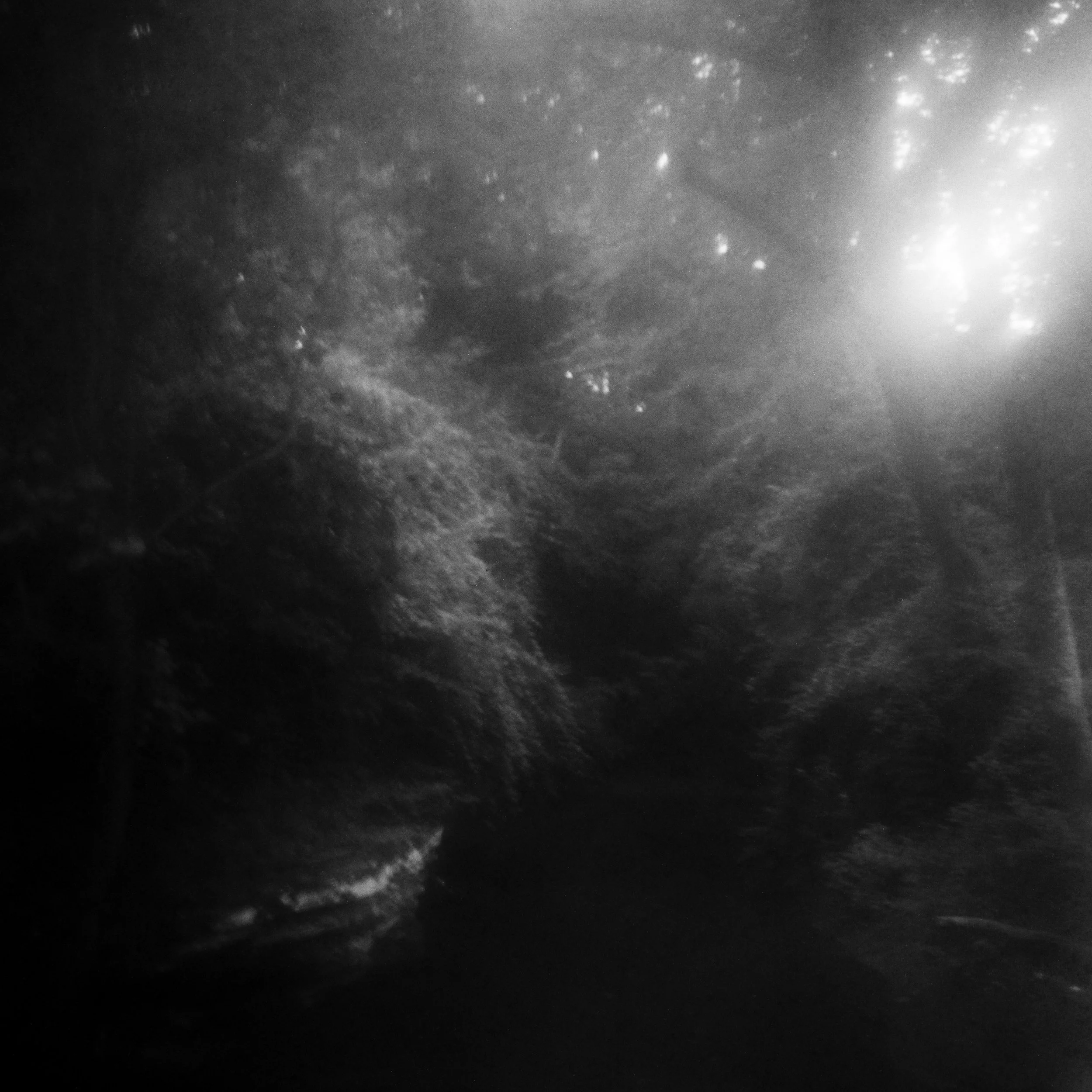 Abstract black and white film alternative process | Jillian Adams Photography