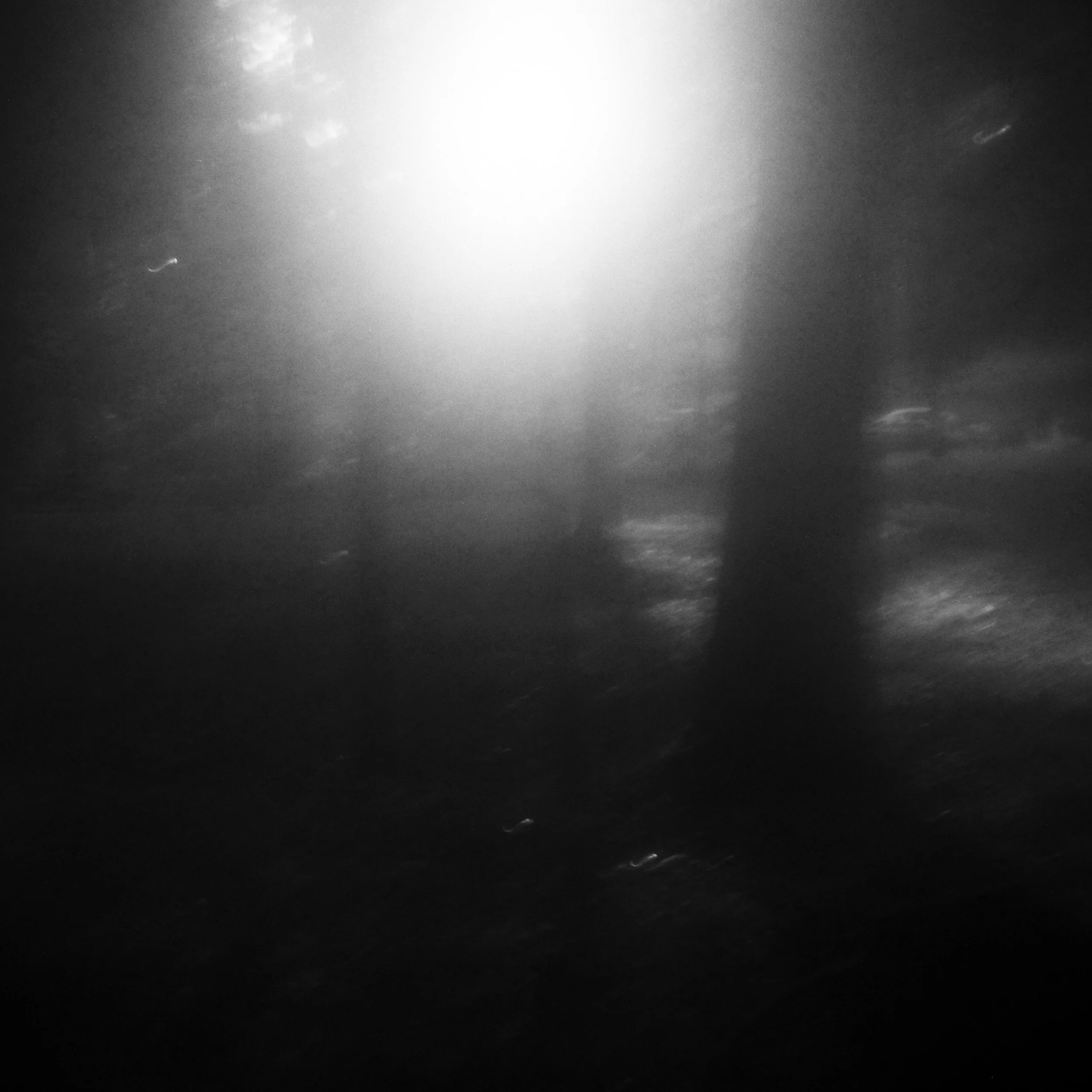 Abstract black and white photography