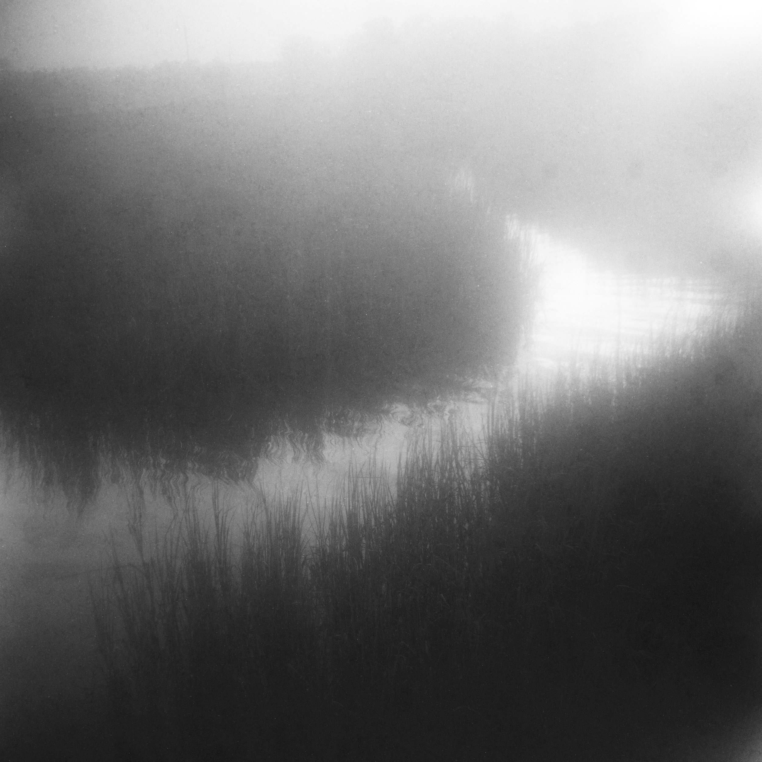 Abstract black and white film alternative process | Jillian Adams Photography