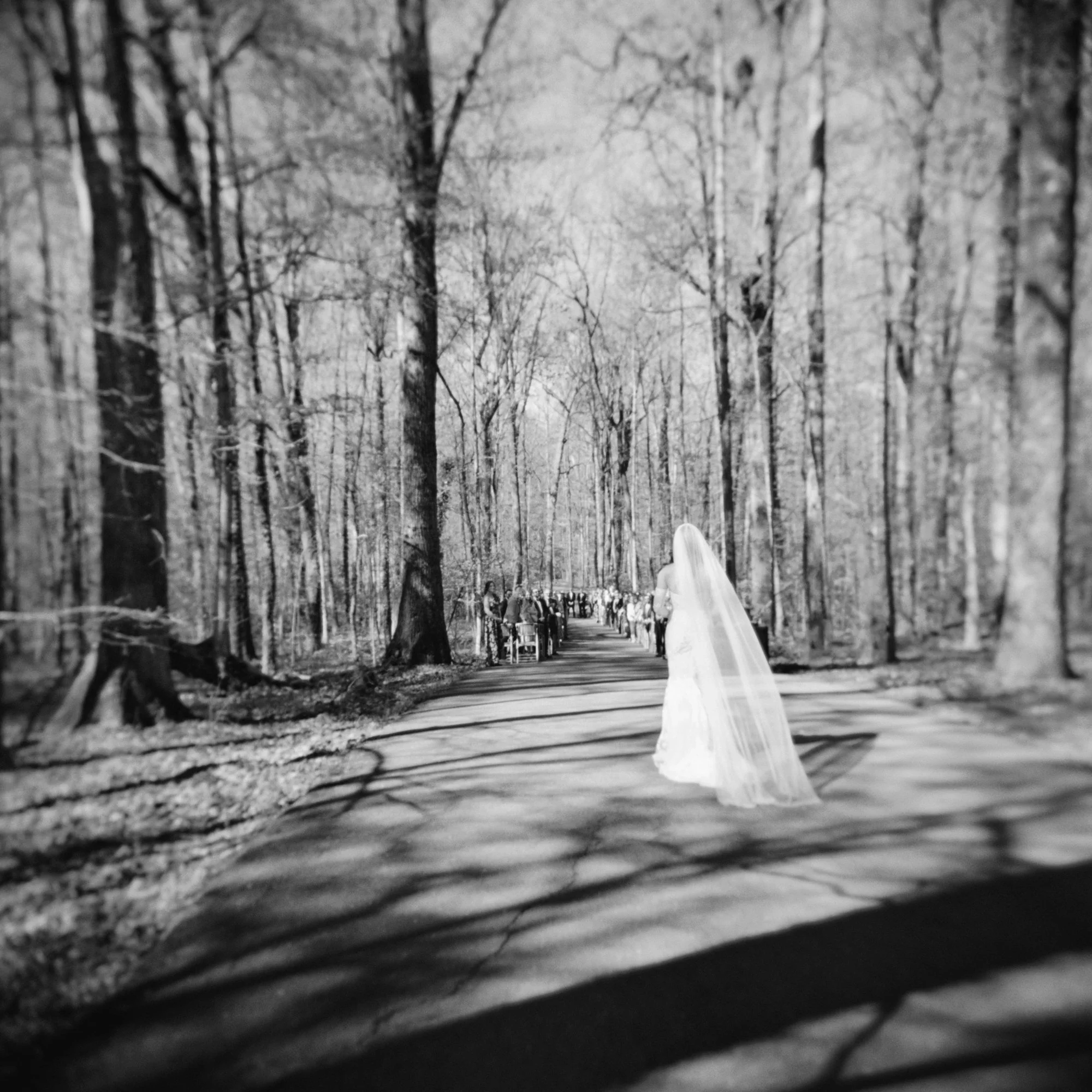 JillianAdamsPhotography_S&L_RTLodgeWedding (19).jpg