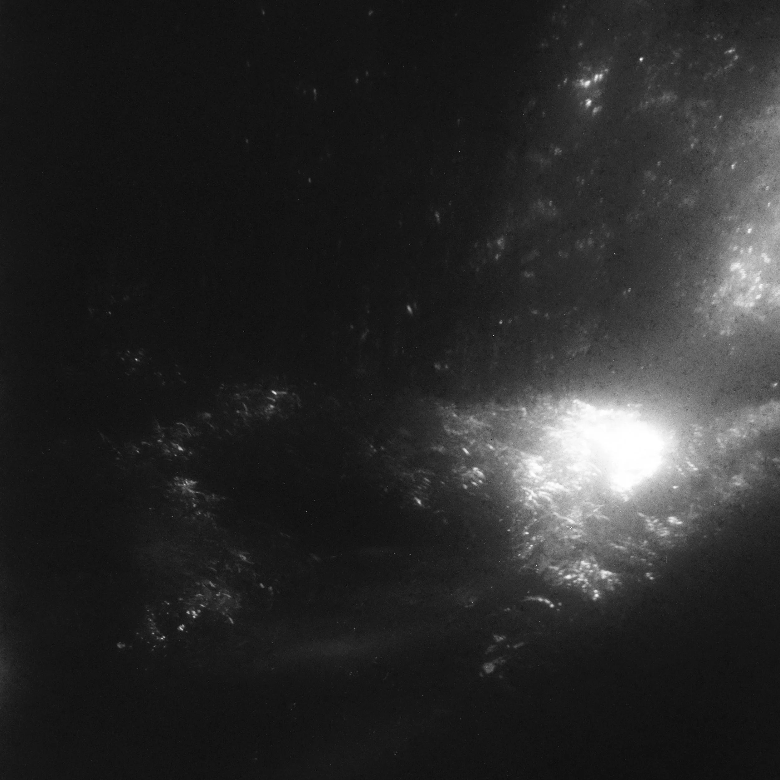 Abstract black and white film alternative process | Jillian Adams Photography