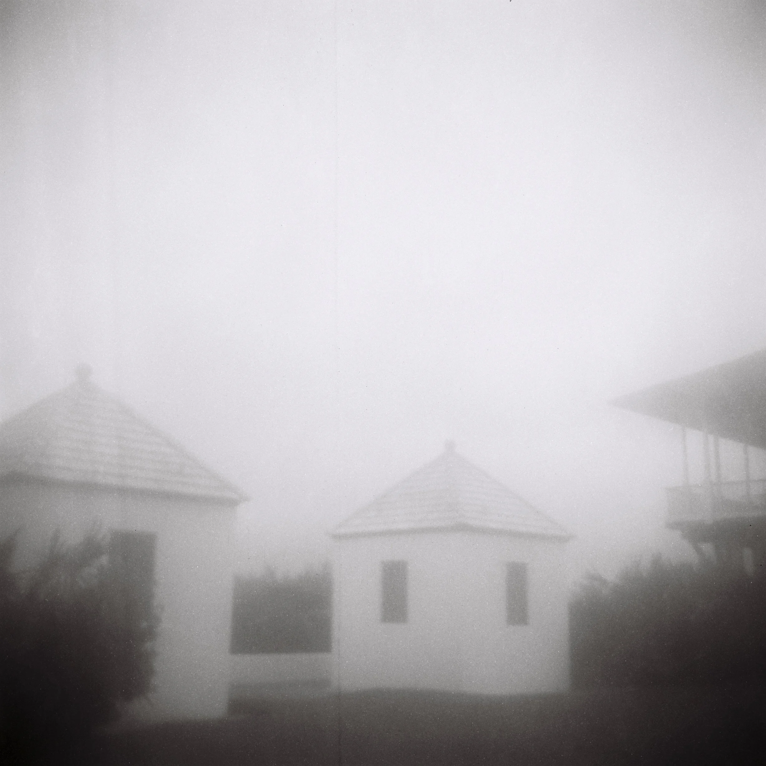 Rosemary Film Photographer | Jillian Adams Photography