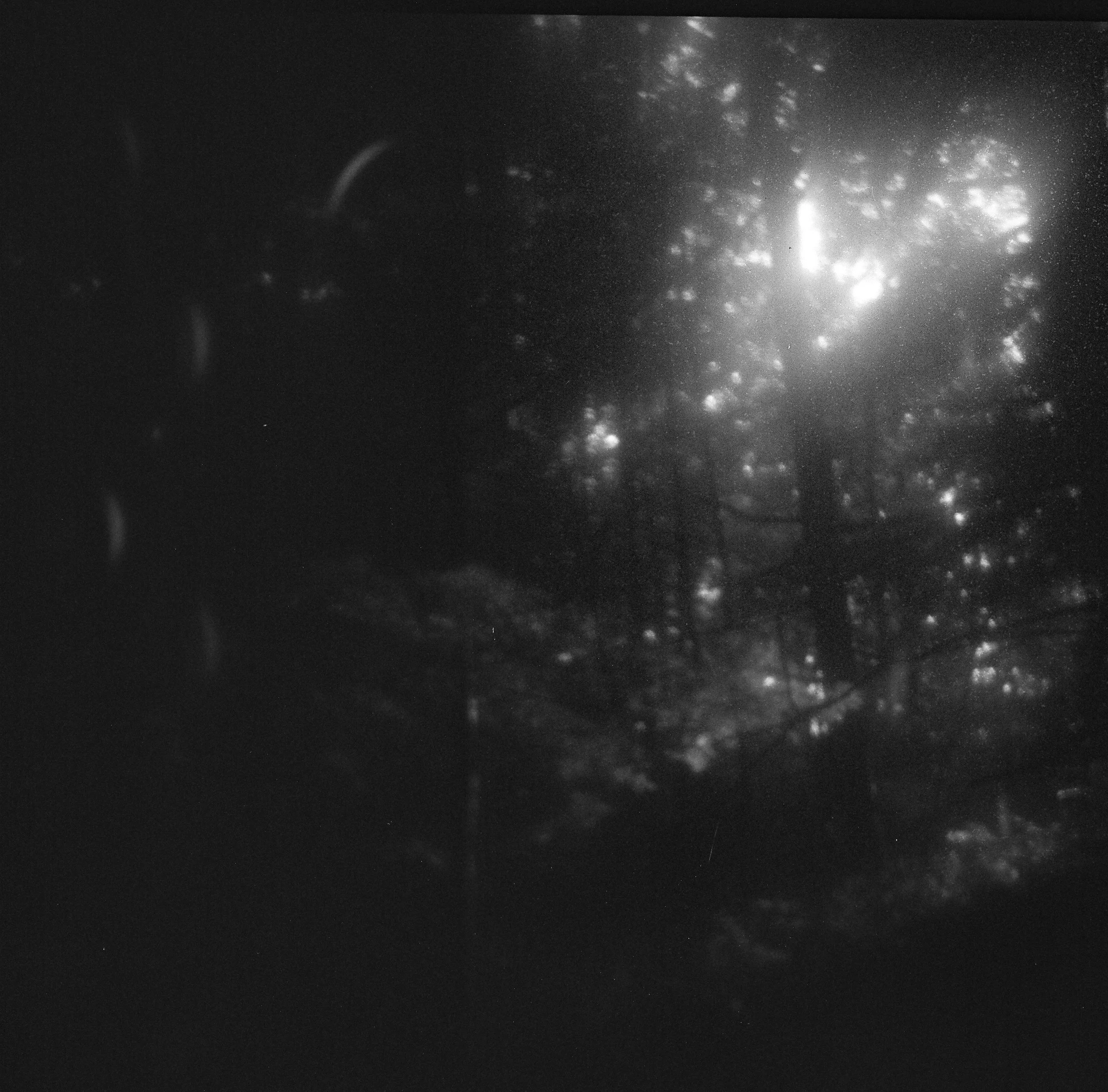 Abstract black and white film alternative process | Jillian Adams Photography