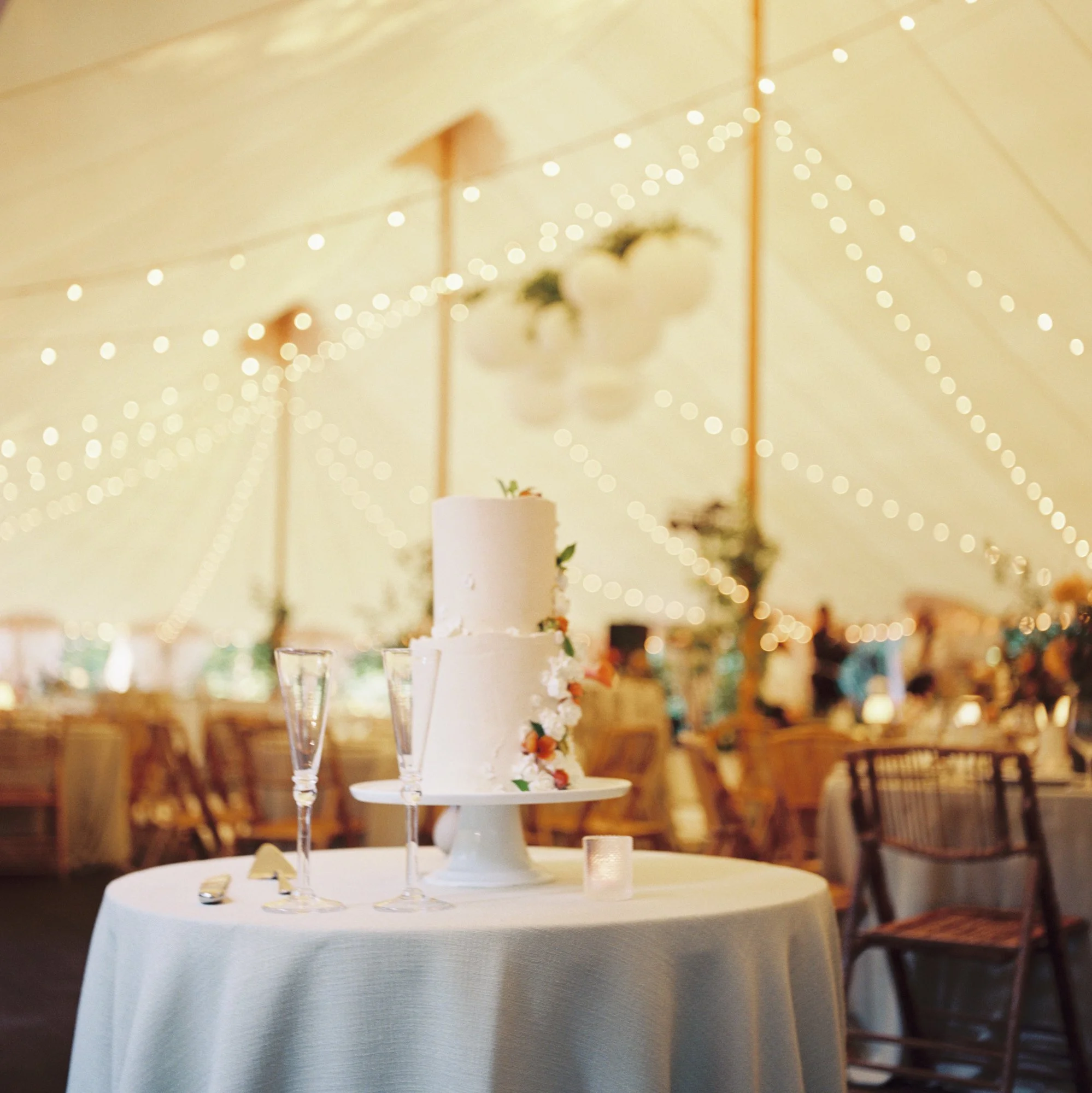 JillianAdamsPhotography_C&C_RTLodge_Wedding (52).jpg