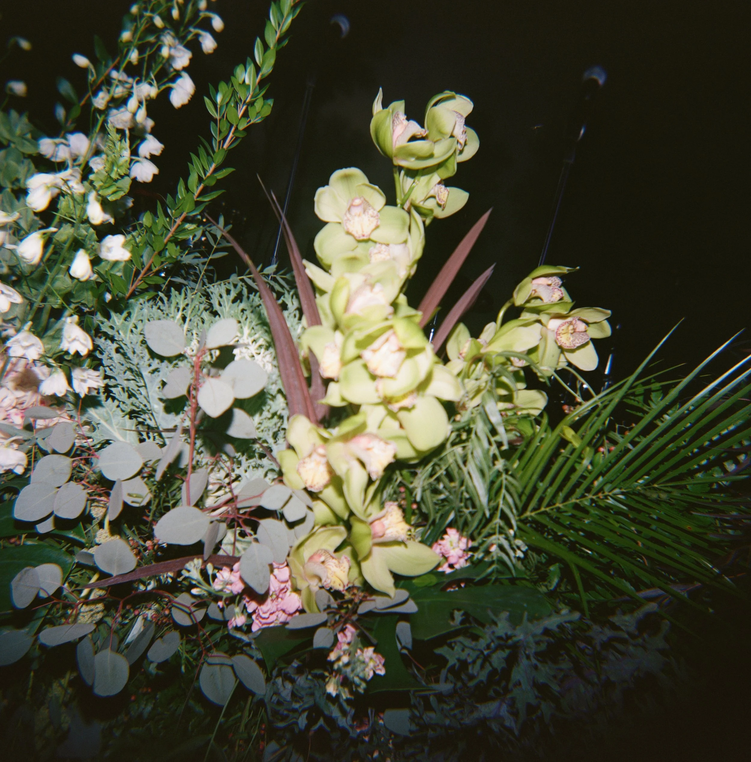 East Coast Analog Wedding Photographer | Jillian Adams Photography