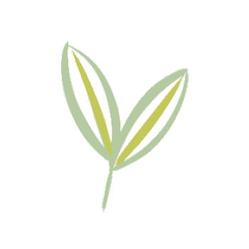 A simple illustration of a plant with two leaves on a black background.