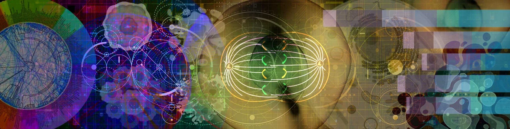 Tavare lab banner art