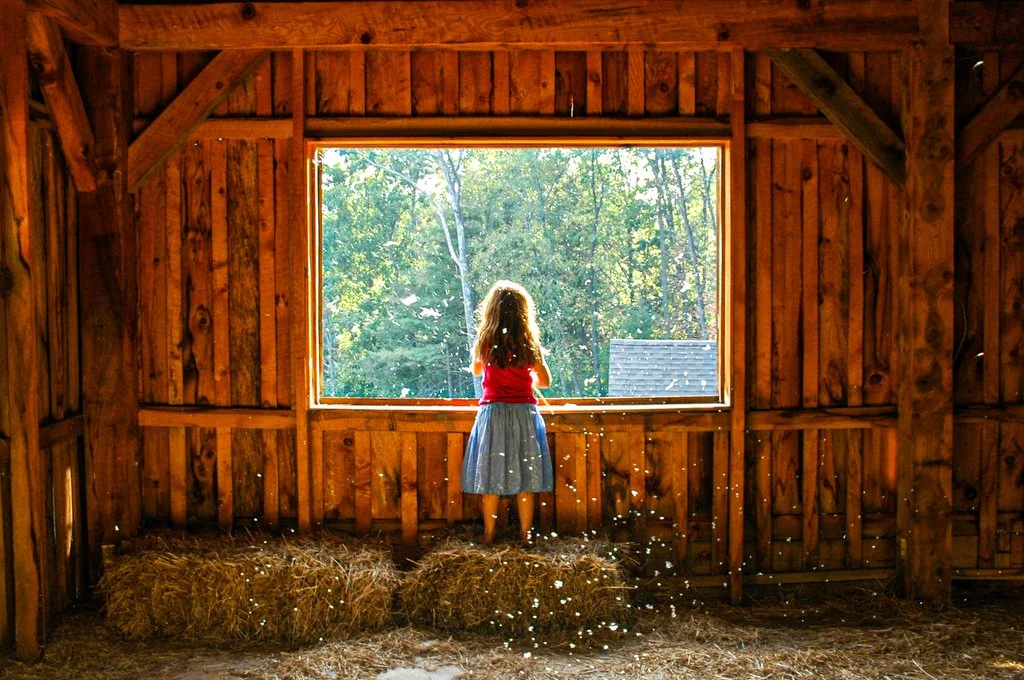 Barn Cattails #5-2SM.JPG