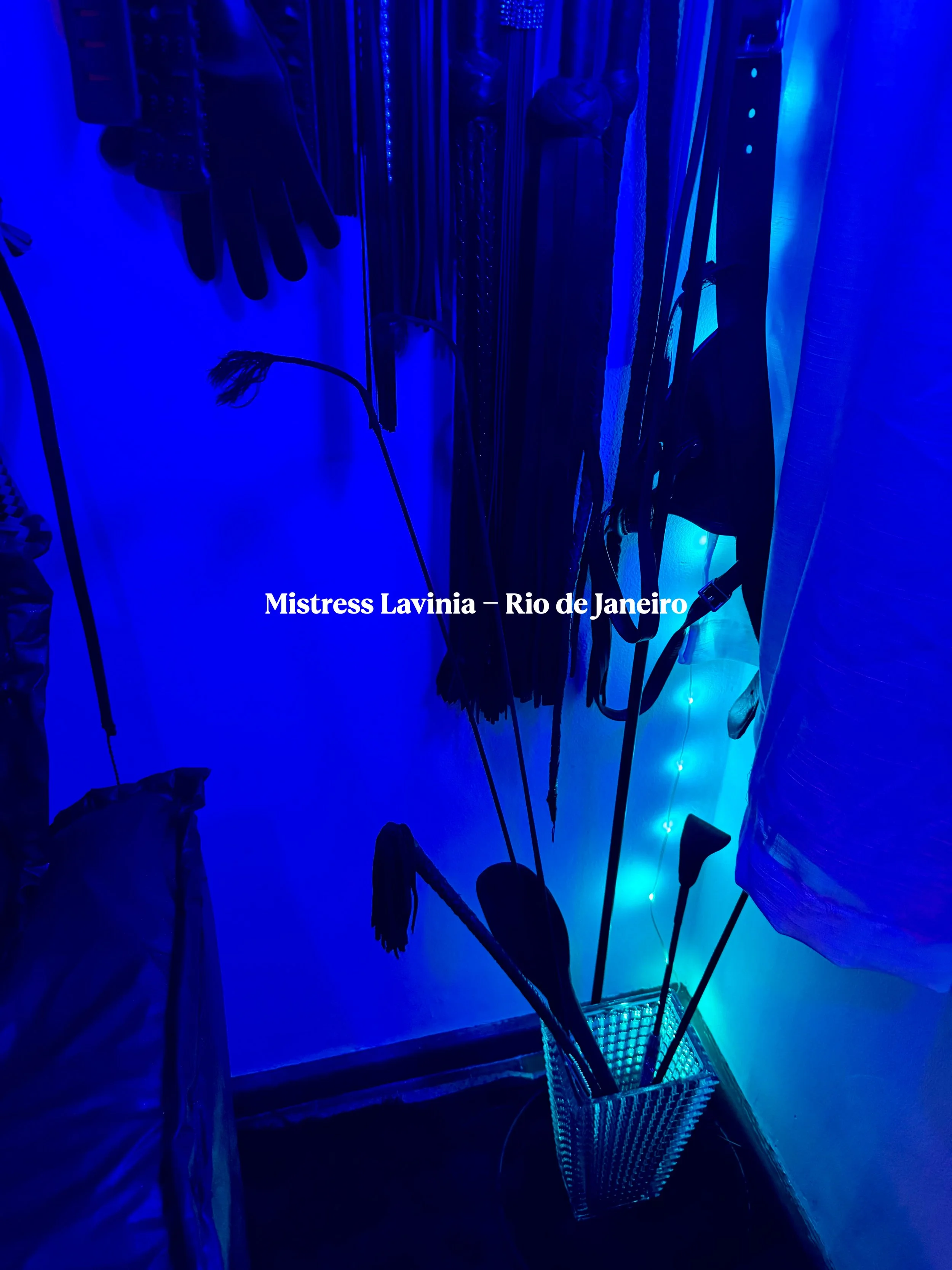 Vaso com argolas decorativas para fotos ao fundo, iluminado por luz azul, com plantas artificiais e objetos de decoração.