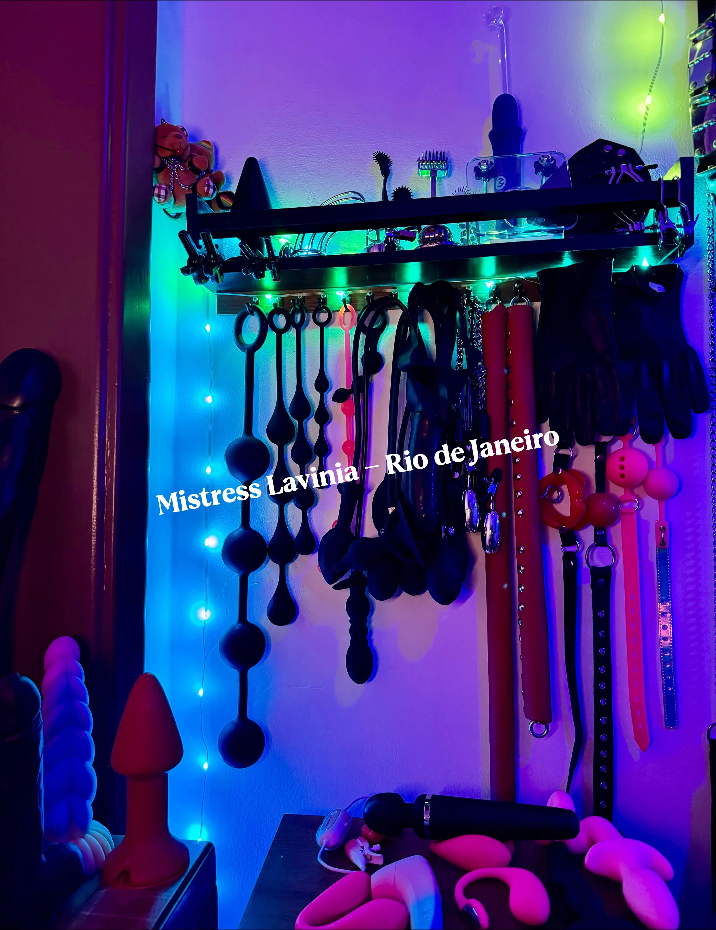 Prateleira com acessórios e brinquedos, iluminação colorida, incluindo chicotes, porrete, luvas, algemas, e outros objetos de BDSM, com uma decoração de luzes de Natal ao fundo.