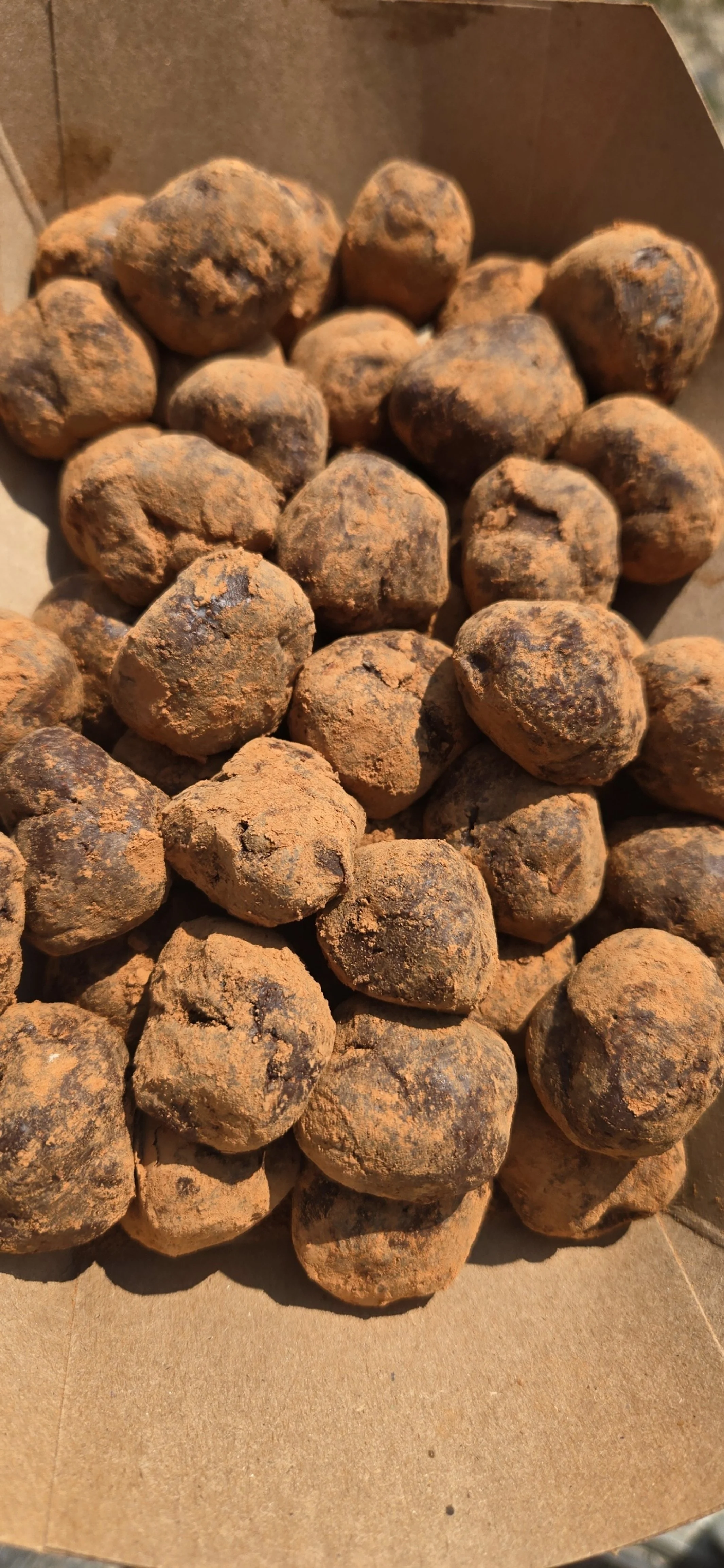 Group of cacao pods covered in dry mud inside a cardboard box.