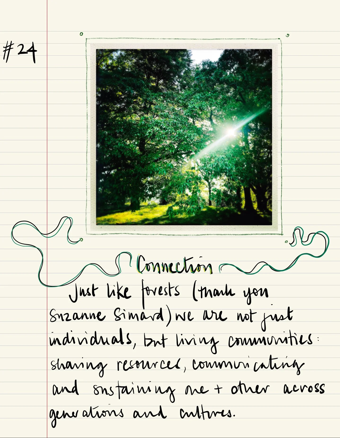 I Like This… #24