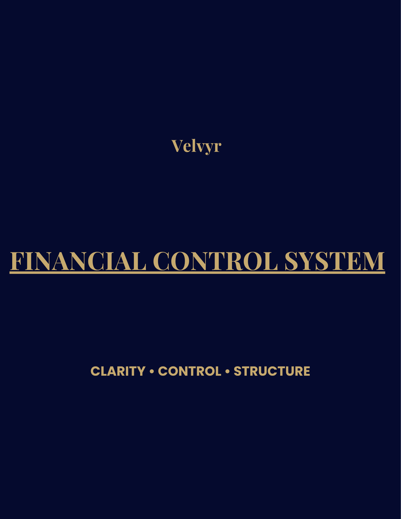 Velvyr Financial Control System