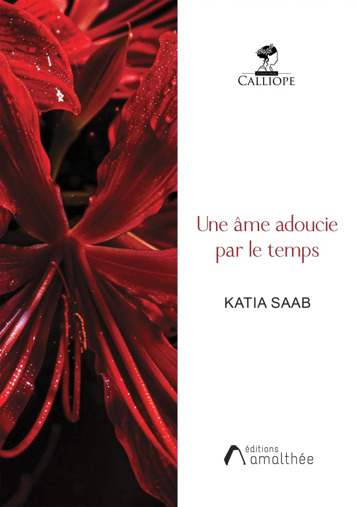 Couverture du livre «Une âme adoucie par le temps»