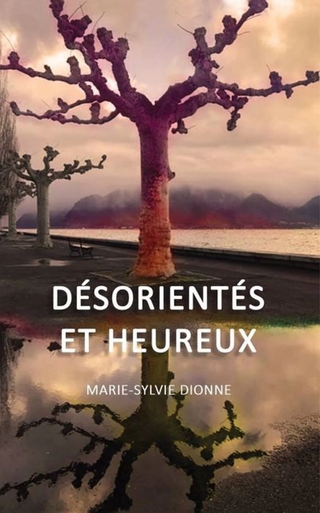Couvert du livre «Désorientés et heureux»