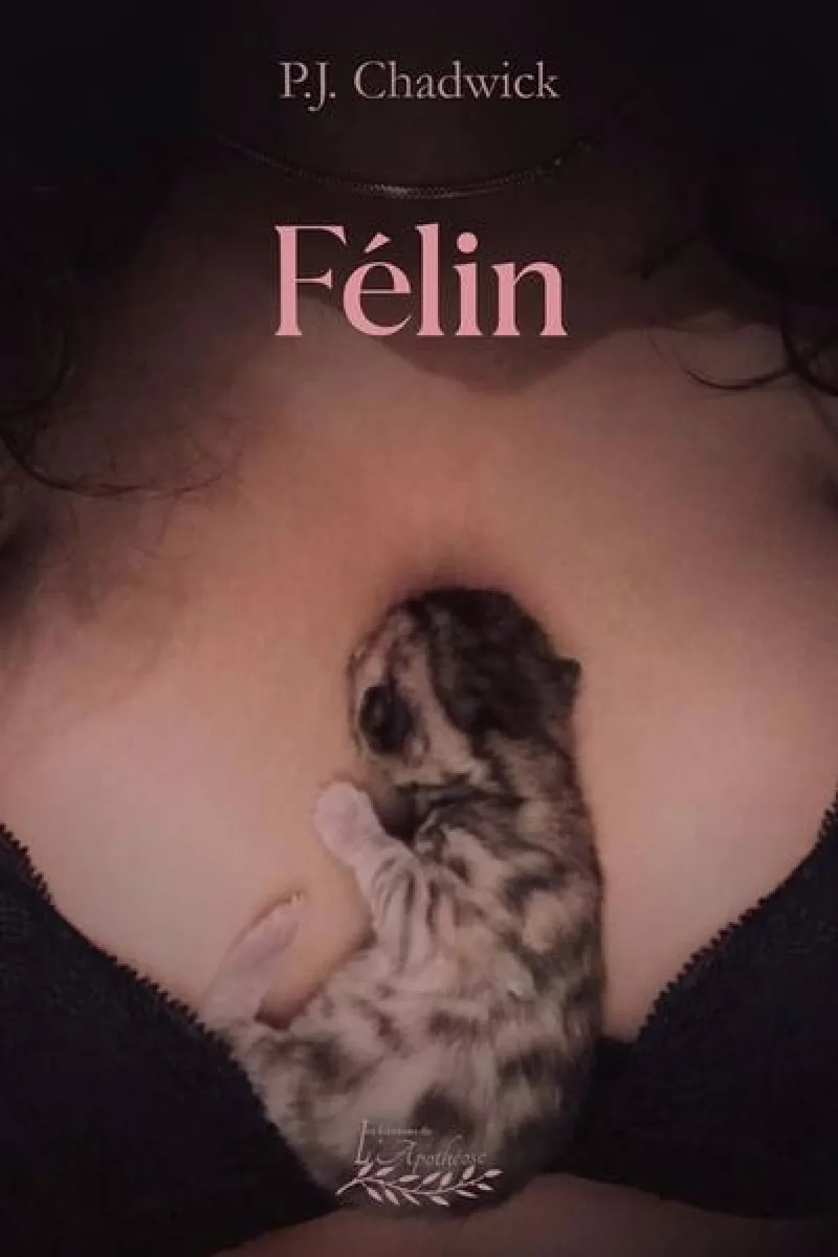 Couverture: Félin