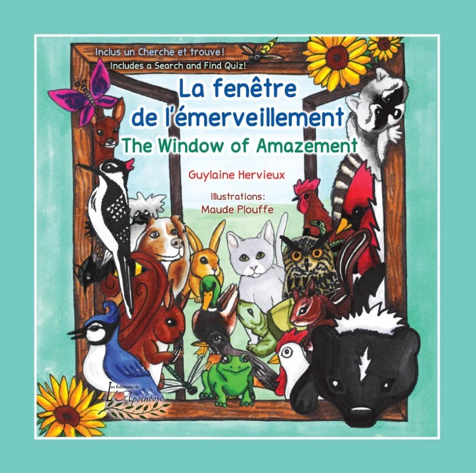 Couvert du livre «La fenêtre de l'émerveillement (The Window of Amazement)»