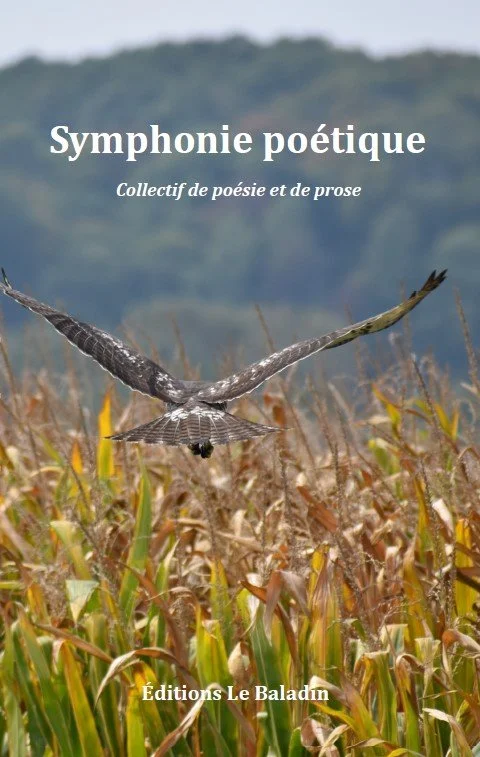 Photo: Couverture du livre Symphonie poétique