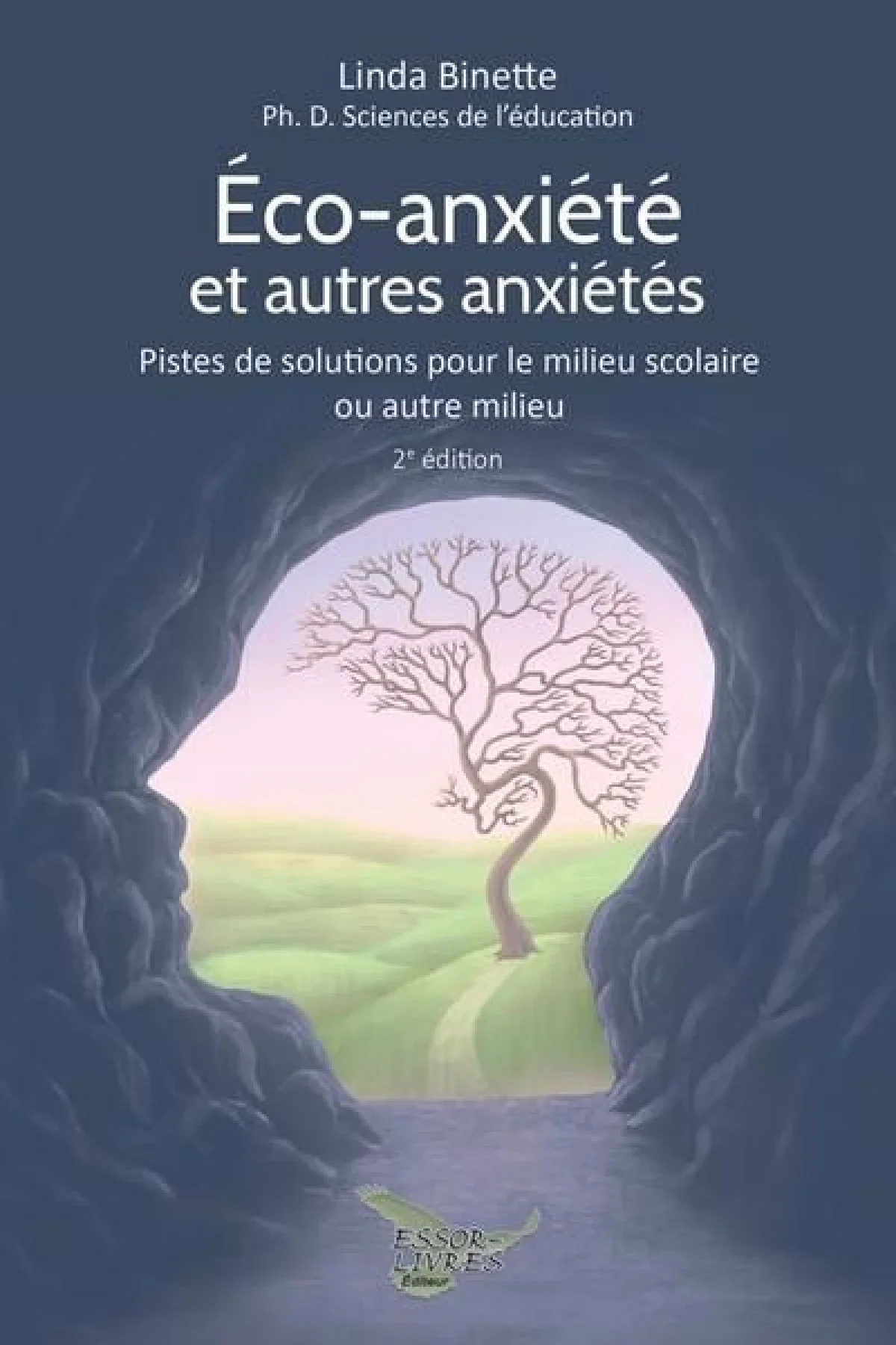 Couverture du livre: Éco-anxiété et autres anxiétés; pistes de solutions pour le milieu scolaire ou autre milieu