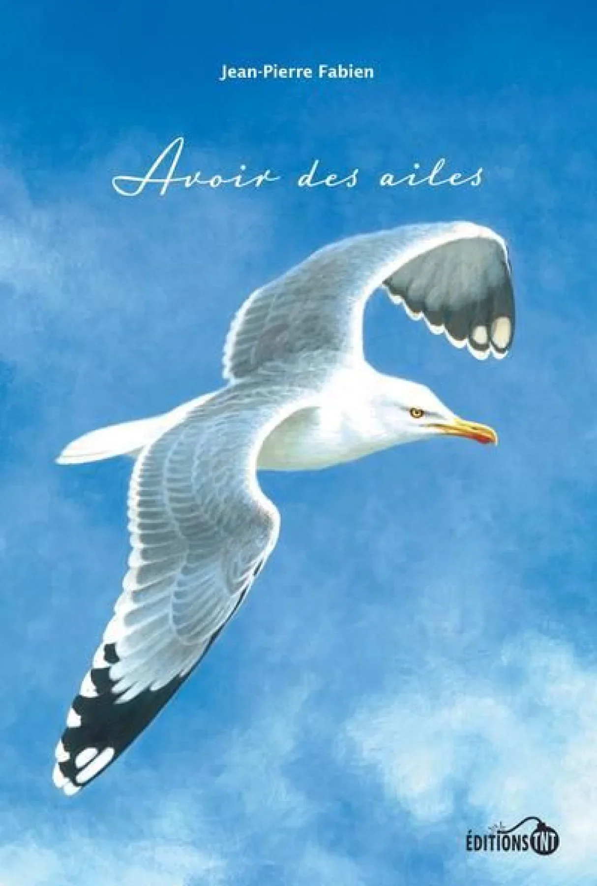 Couverture du livre "Avoir des ailes"