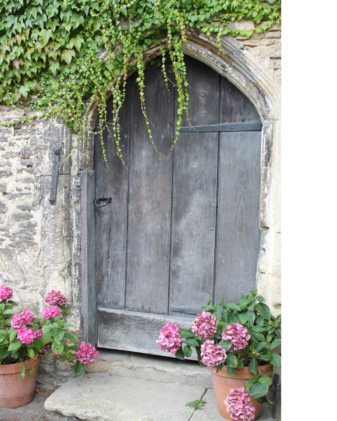 A rustic wooden door set in a stone wall with ivy growing above and pink hydrangeas in pots at the base.