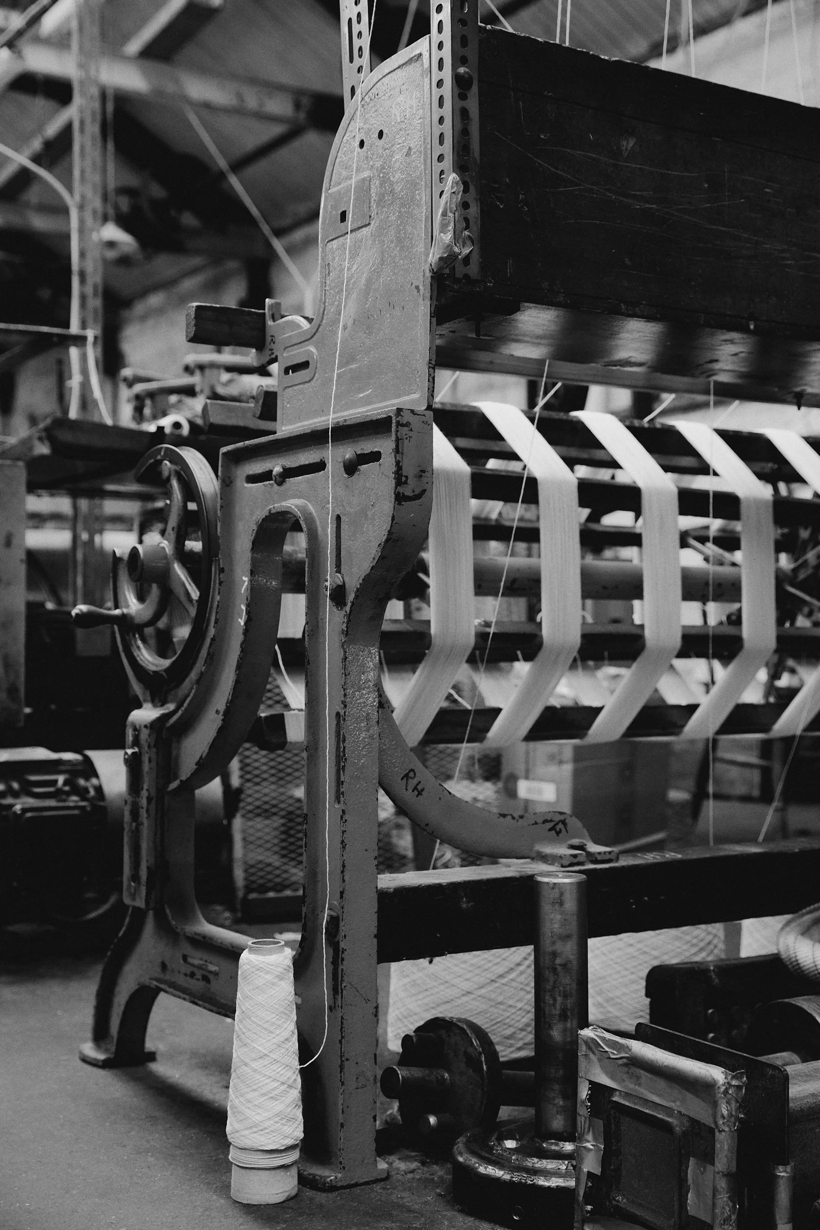 2024_09_23_Harry Mundy_Ireland_4338_web 1.jpg