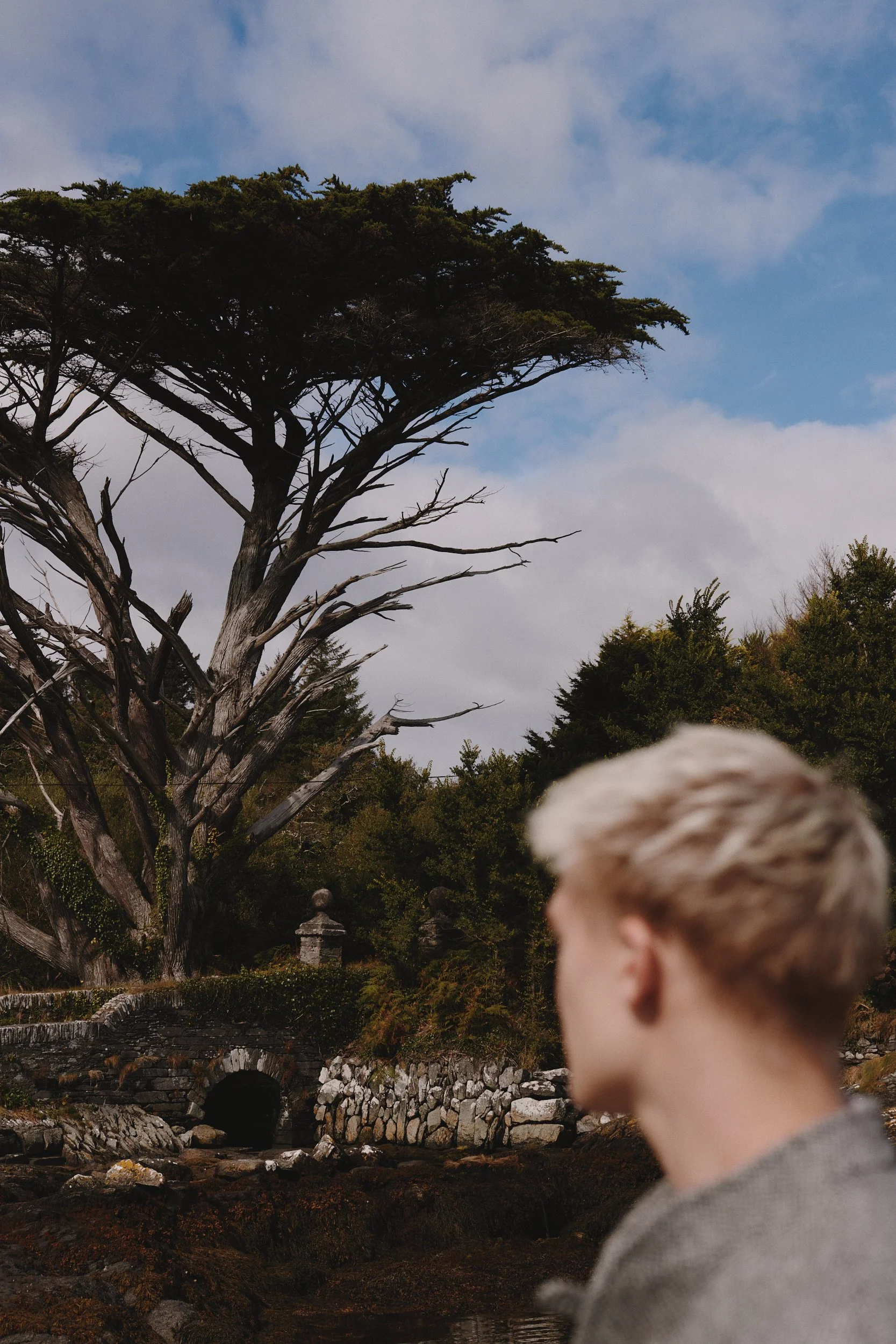 2024_09_23_Harry Mundy_Ireland_2417_web.jpg