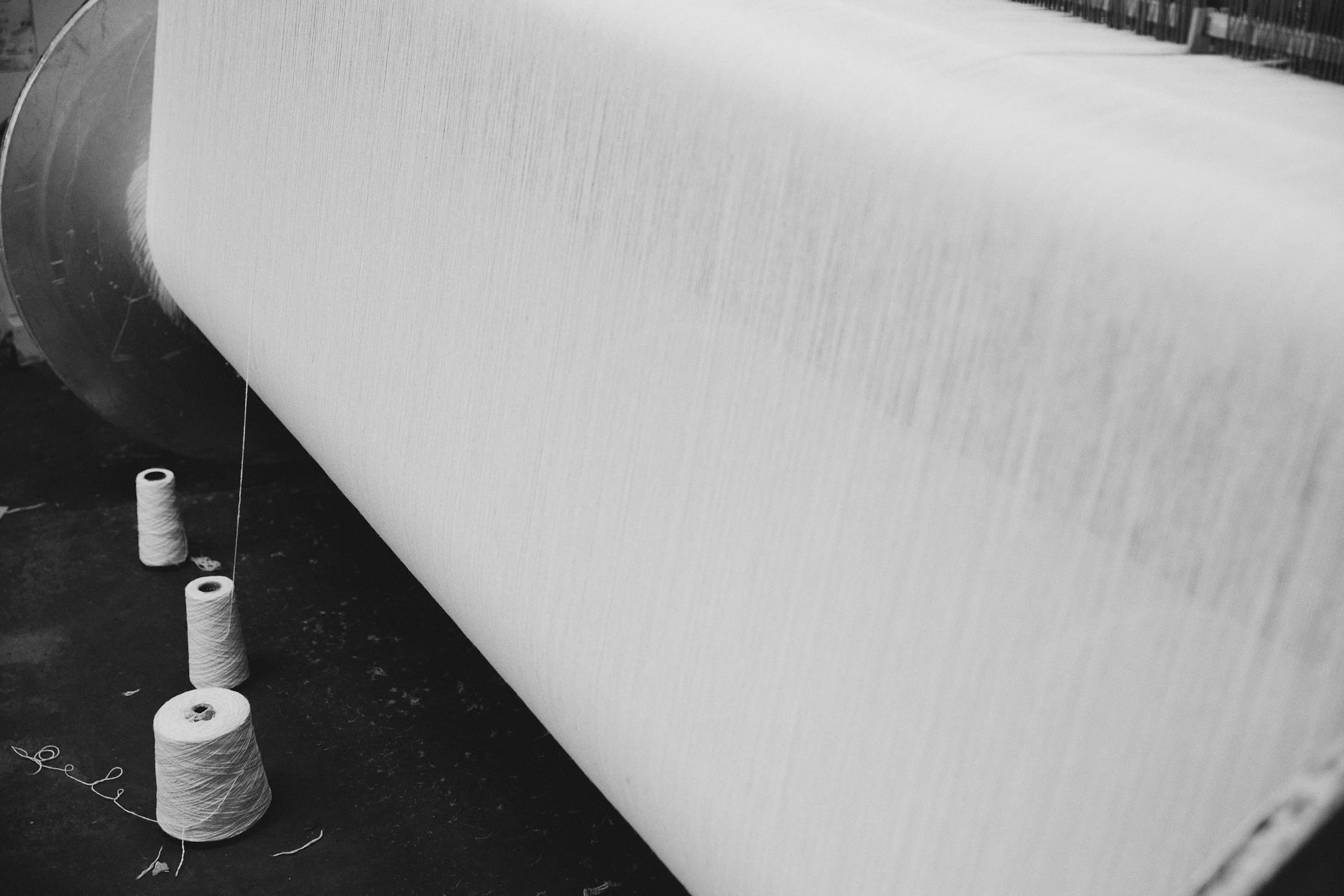 2024_09_23_Harry Mundy_Ireland_4367_web.jpg