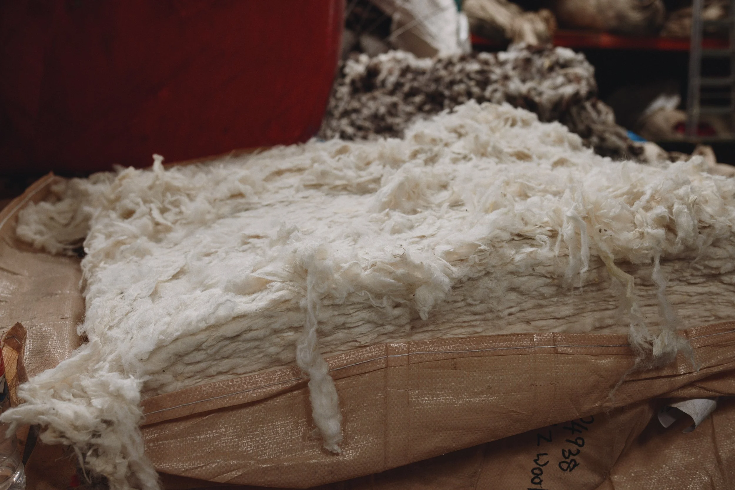 2024_09_23_Harry Mundy_Ireland_4382_web.jpg