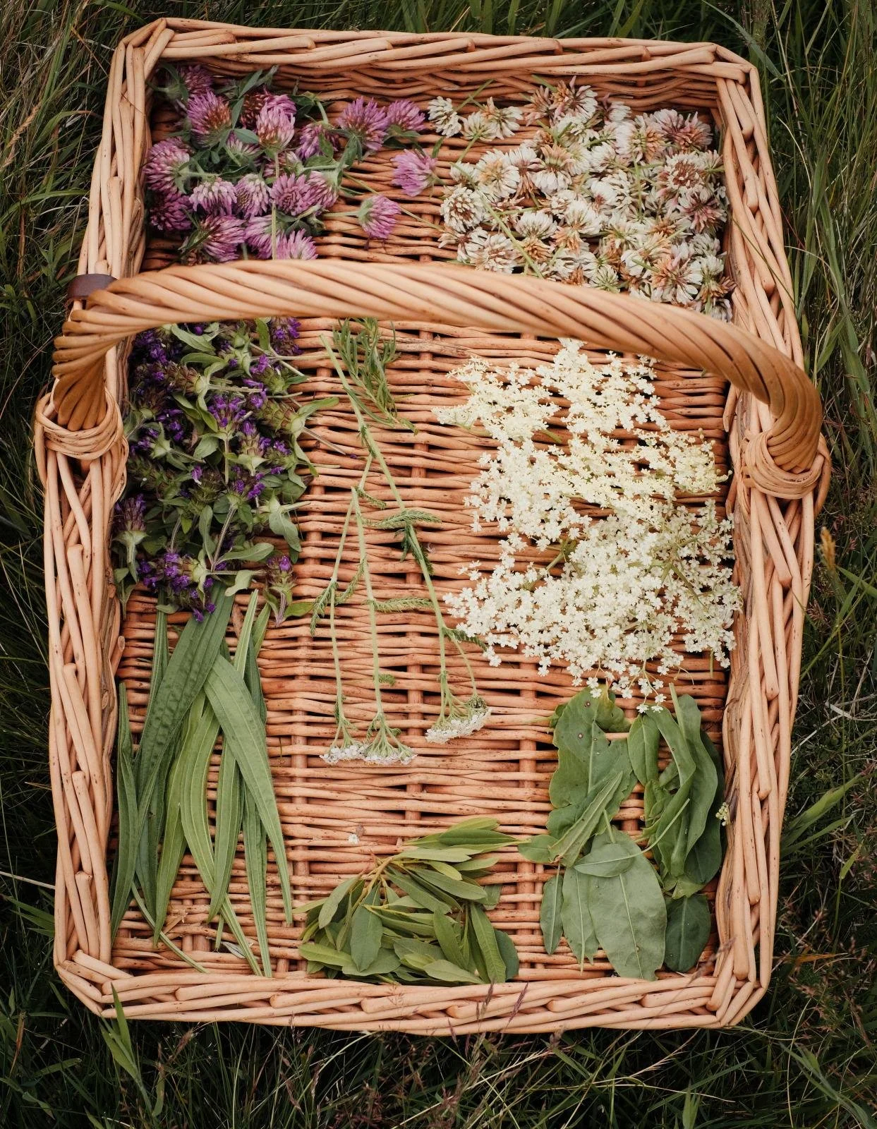 WhatsApp Image 2022-07-28 at 06.57.51.jpeg