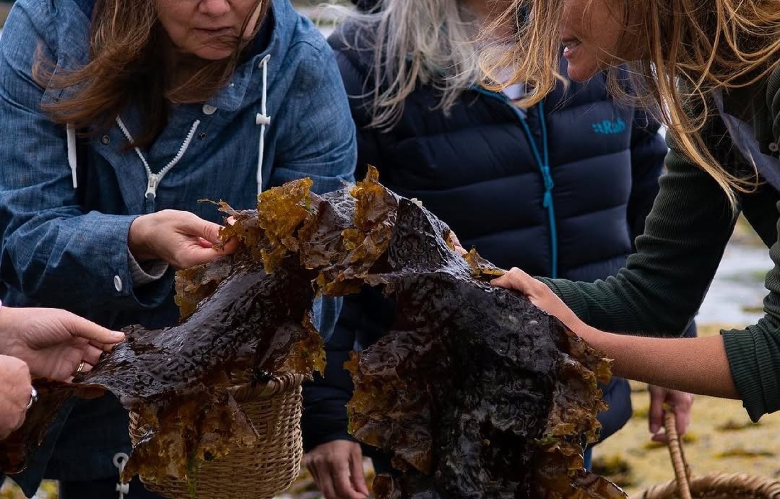 Untitled design (3).jpg