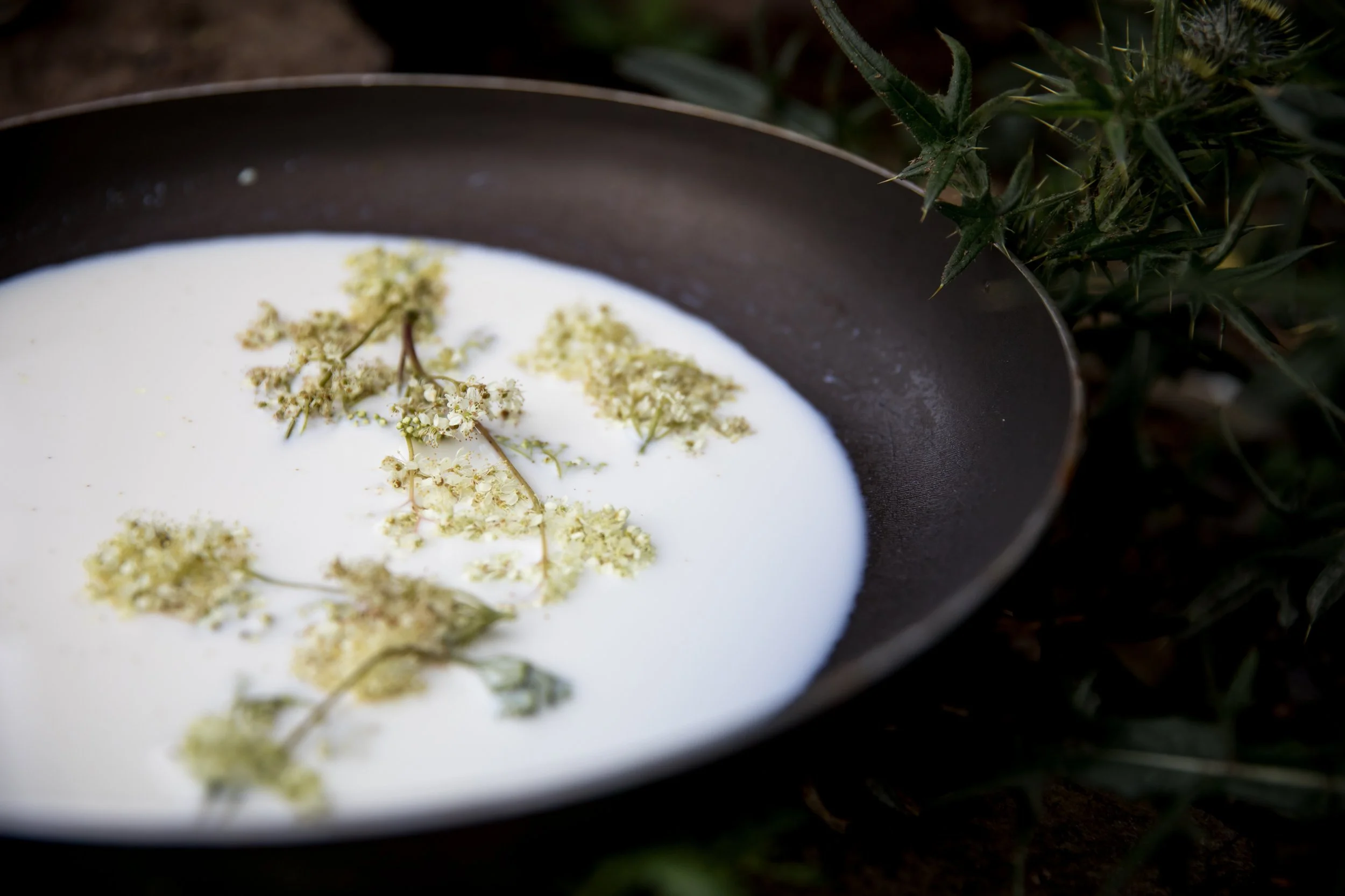 meadow sweet milk.jpg