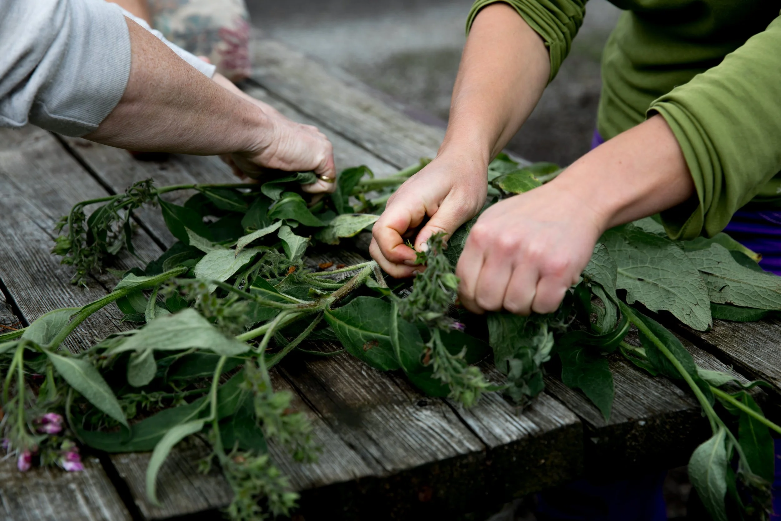 heal scotland -6897.jpg