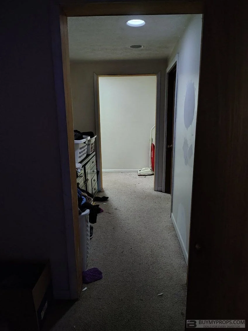 7725172.jpg