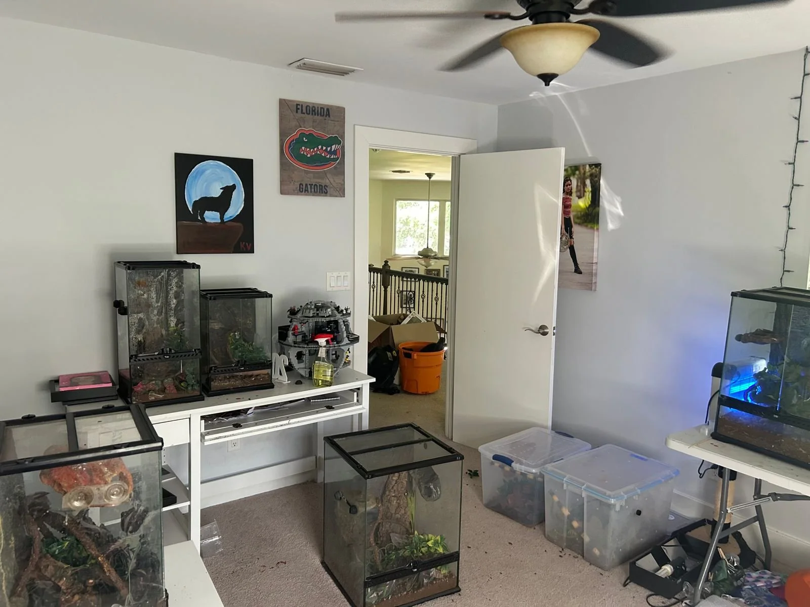 WhatsApp Image 2025-10-03 at 11.44.23_8dbabe72.jpg