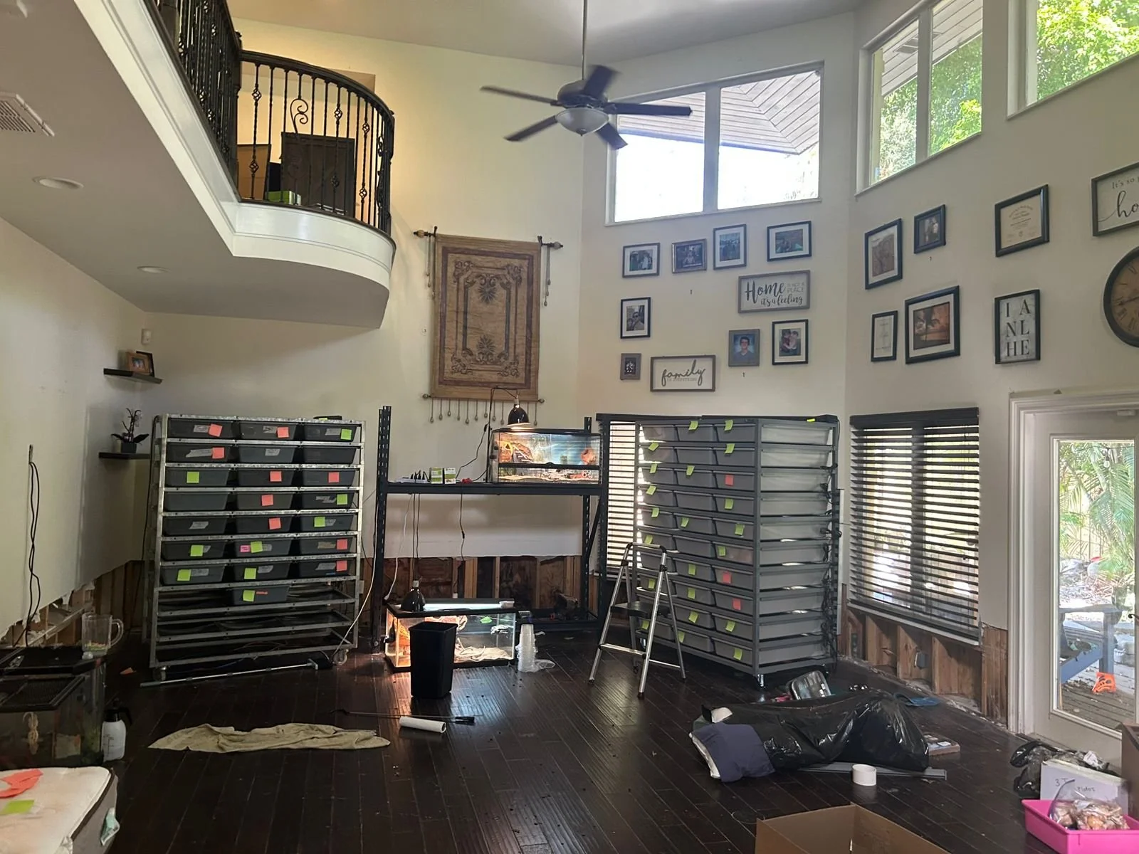 WhatsApp Image 2025-10-03 at 11.44.24_493bdb64.jpg