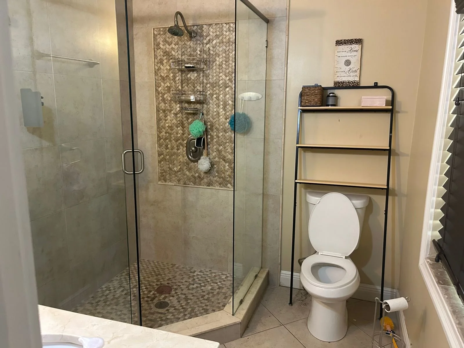 WhatsApp Image 2025-10-03 at 11.44.27_e52342c7.jpg