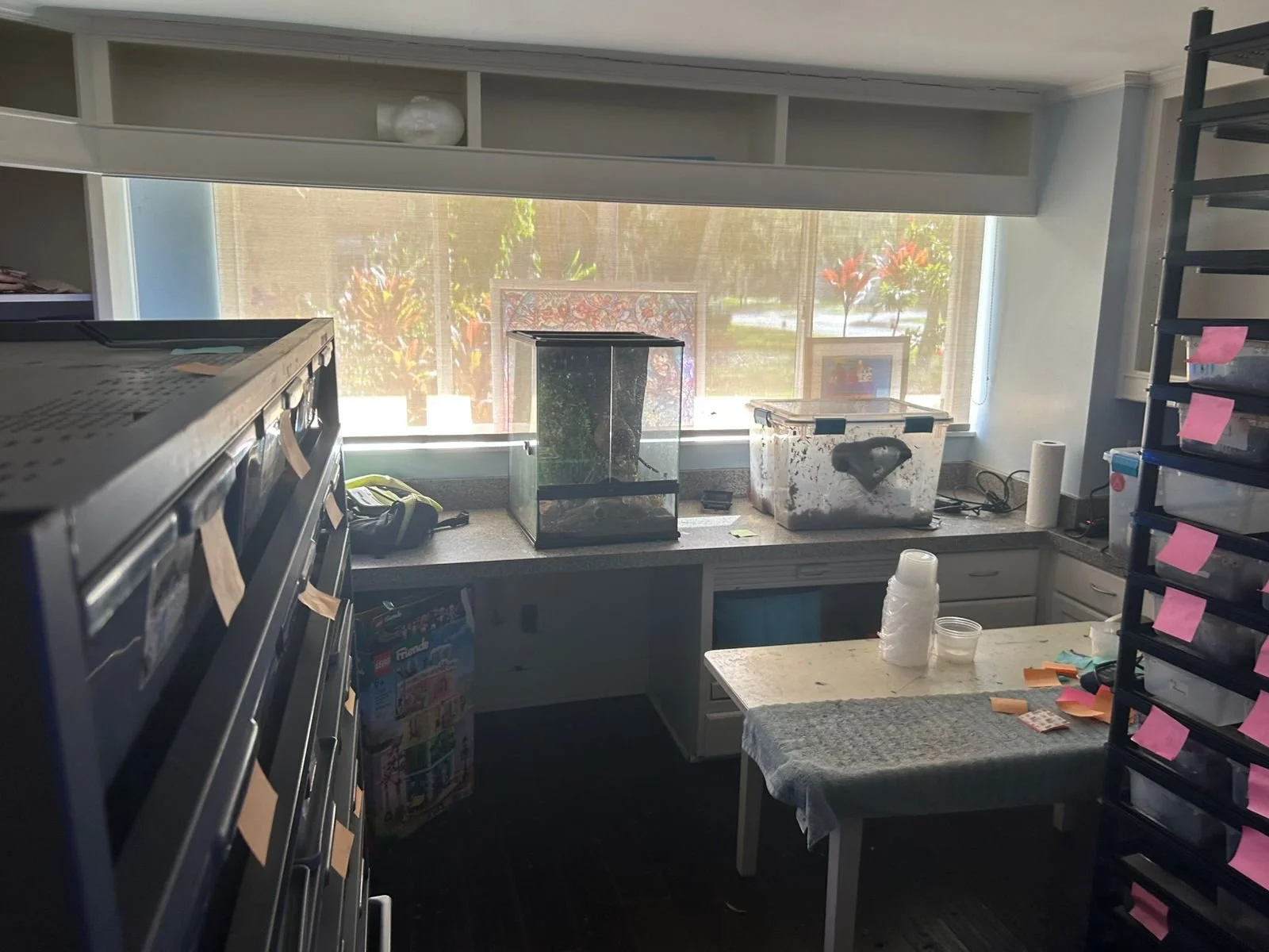 WhatsApp Image 2025-10-03 at 11.44.29_c1ebaa15.jpg