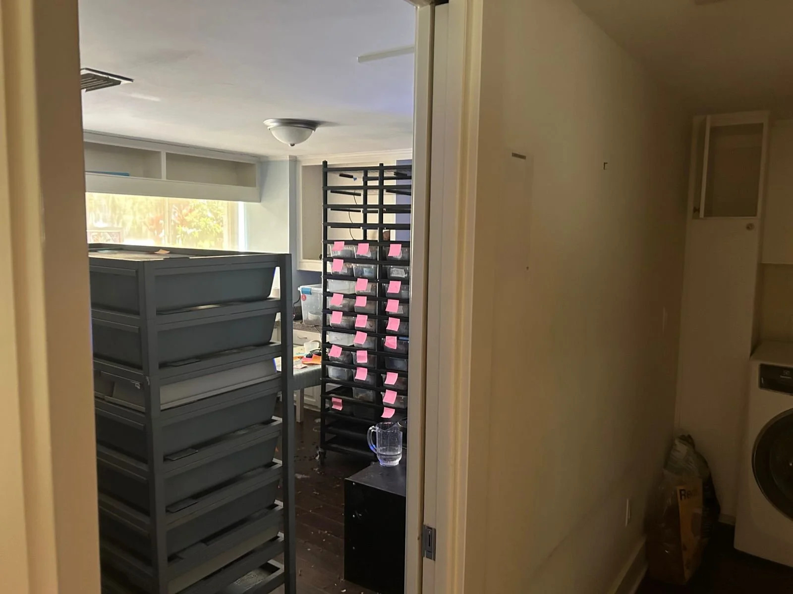 WhatsApp Image 2025-10-03 at 11.44.34_5dbf2d36.jpg